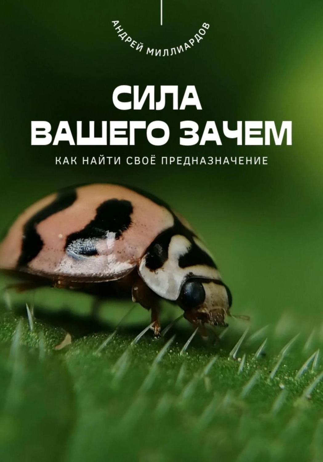Обложка книги «Сила вашего Зачем. Как найти своё предназначение»