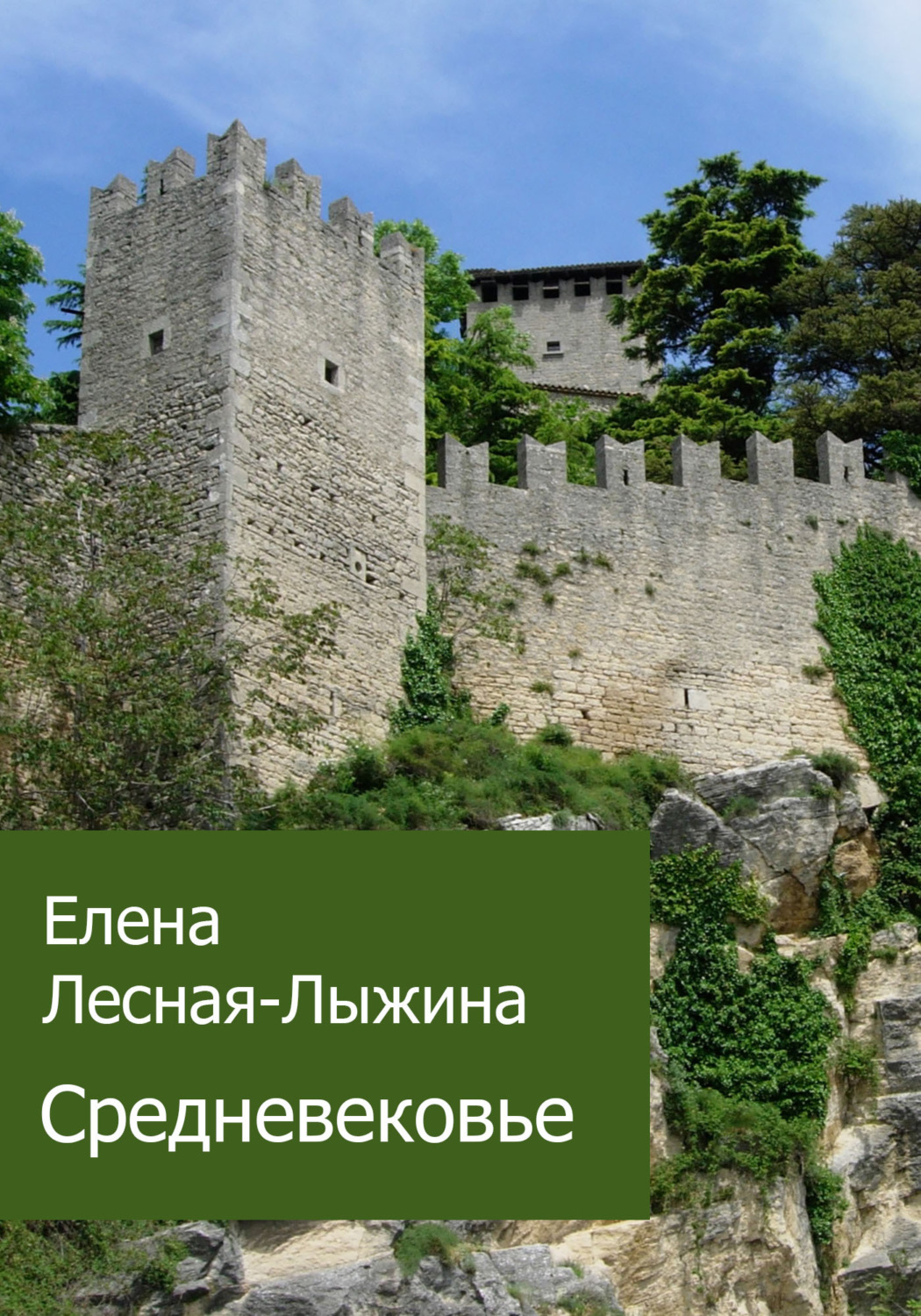 Обложка книги «Средневековье»