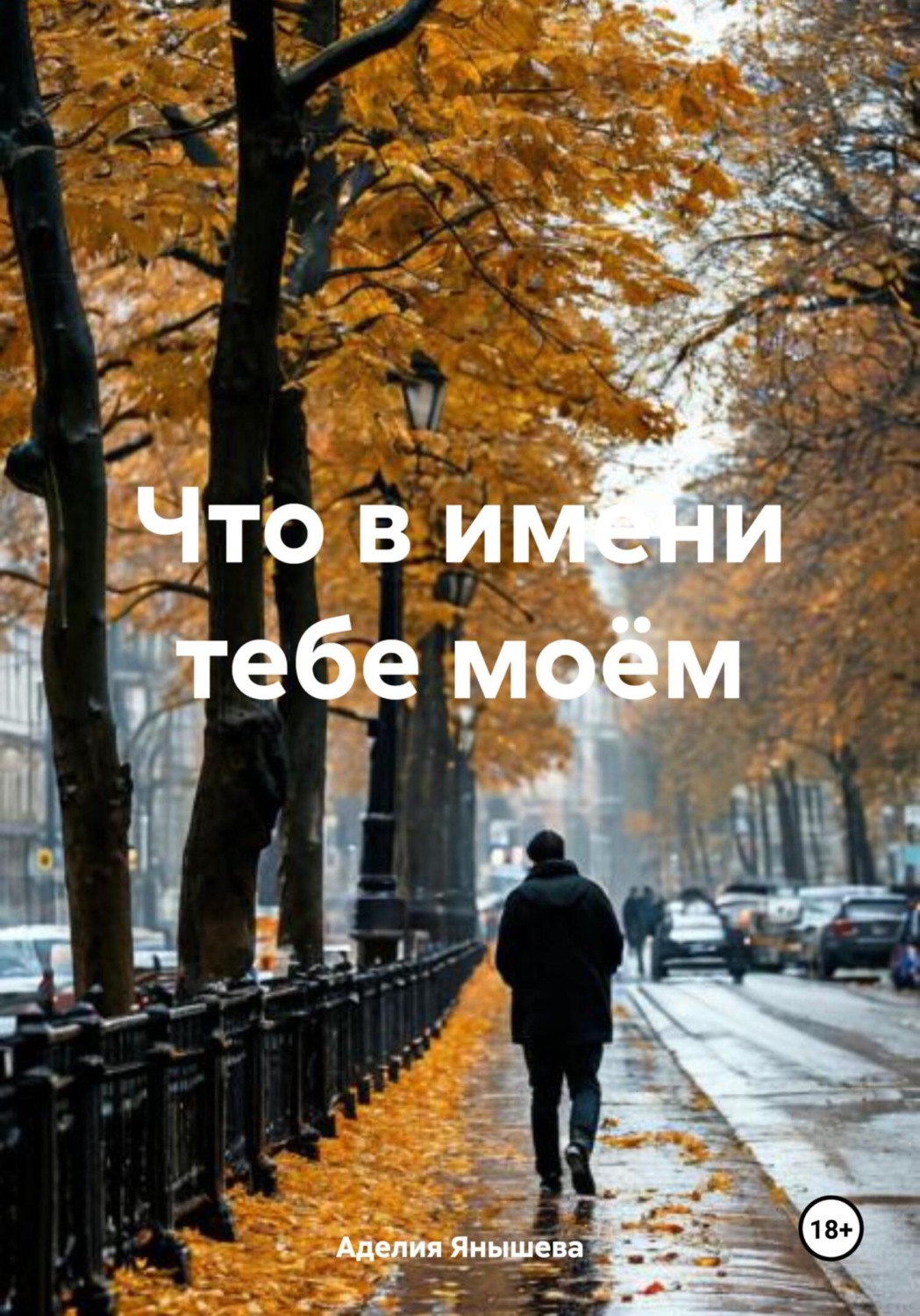 Обложка книги «Что в имени тебе моём»