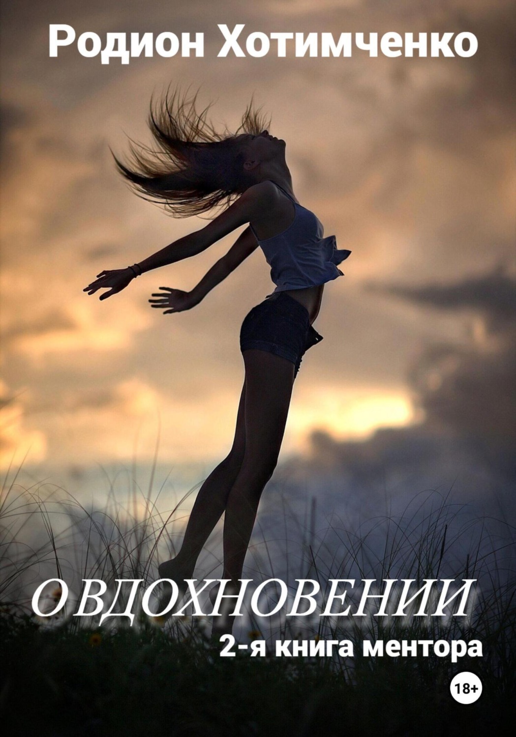 Обложка книги «О вдохновении. 2-я книга ментора»