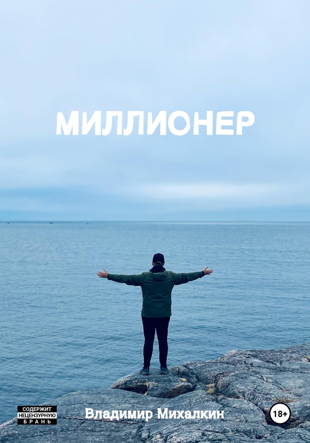 Обложка книги «Миллионер»