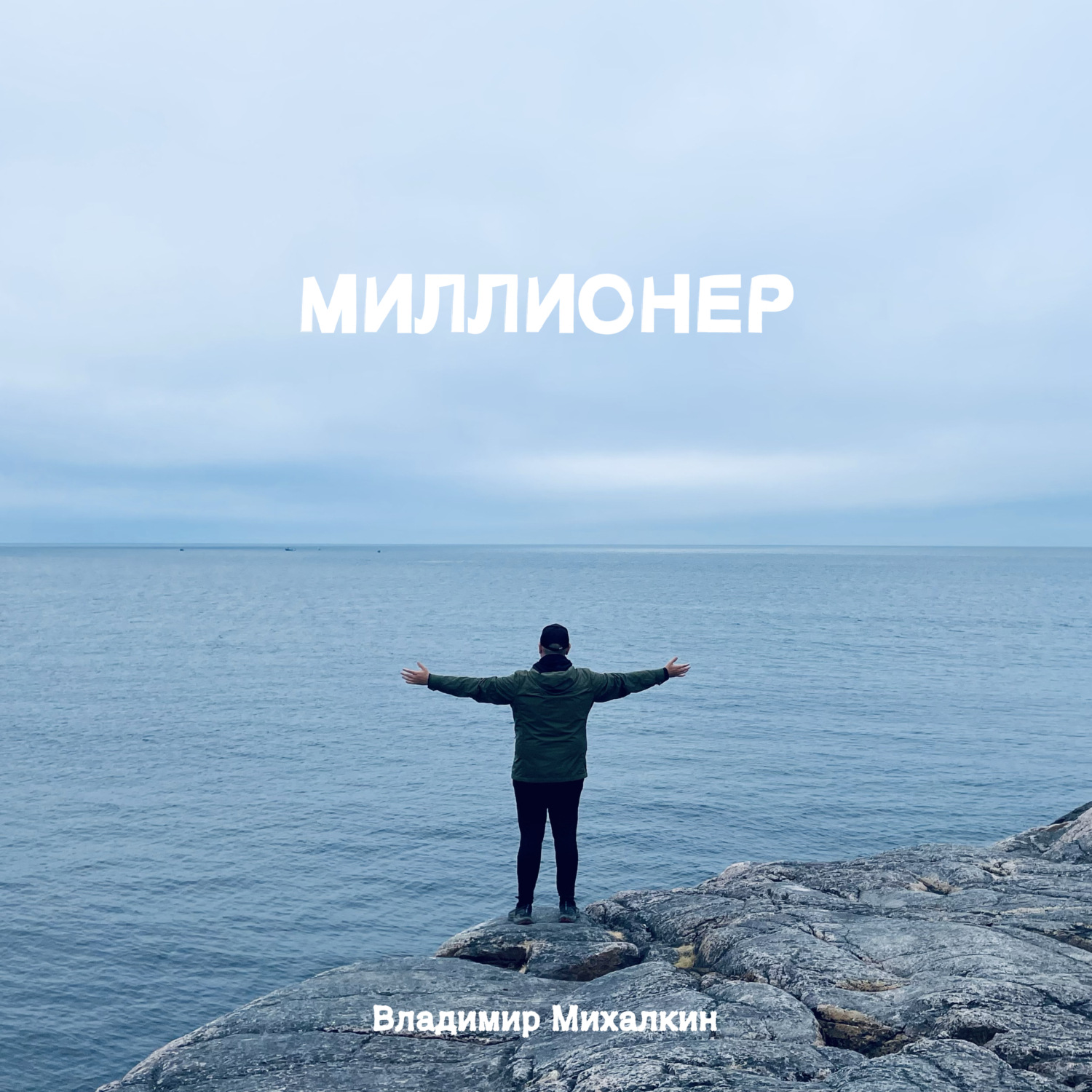 Обложка книги «Миллионер»