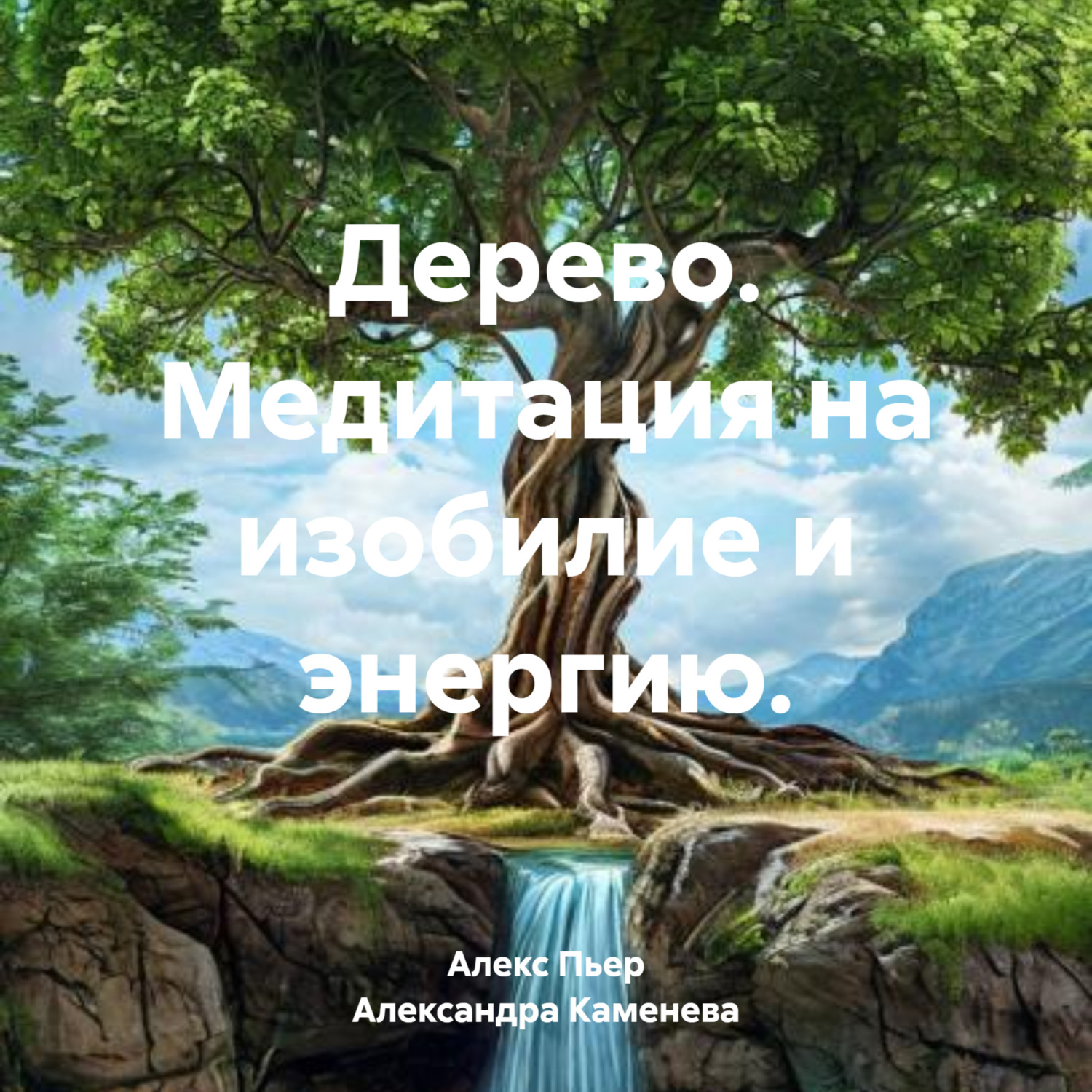 Обложка книги «Дерево. Медитация на изобилие и энергию.»
