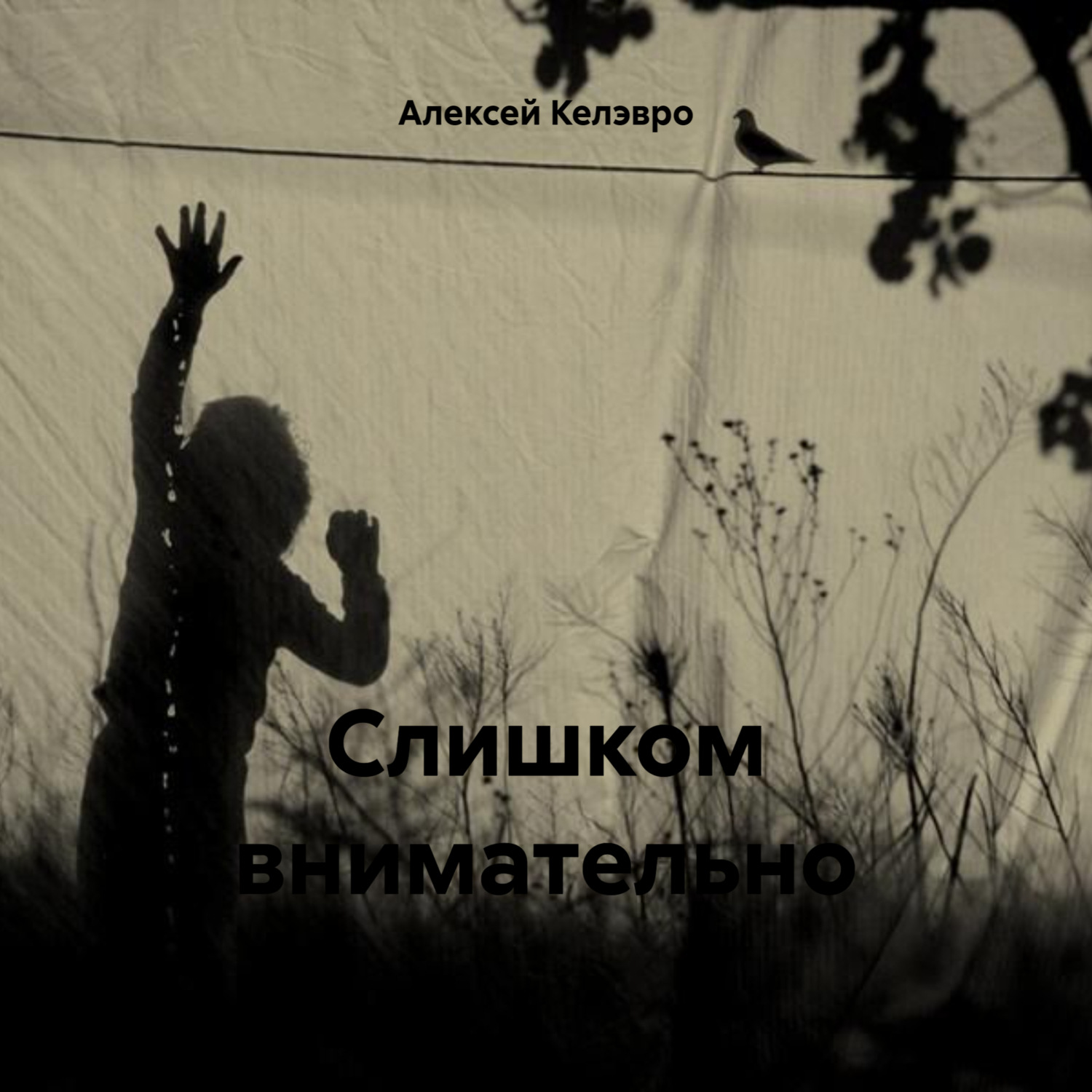 Обложка книги «Слишком внимательно»