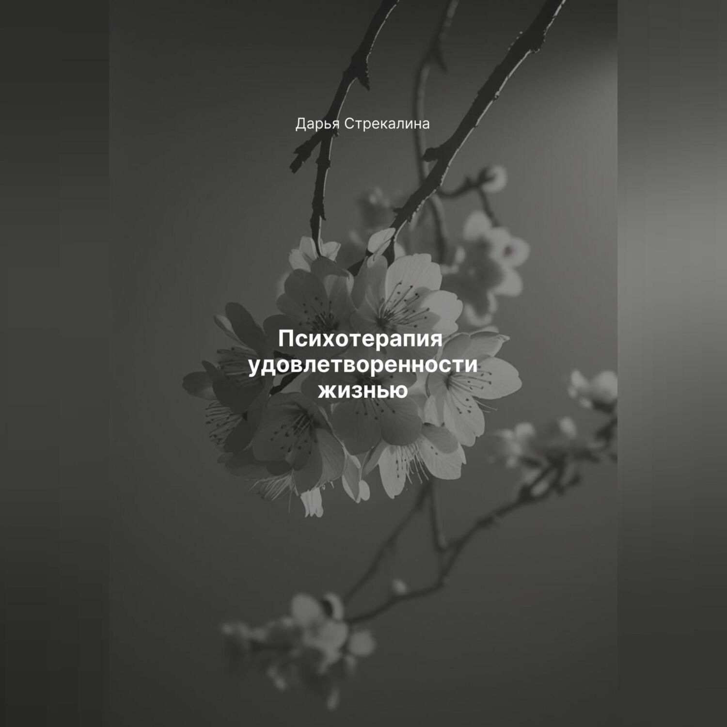 Обложка книги «Психотерапия удовлетворенности жизнью»