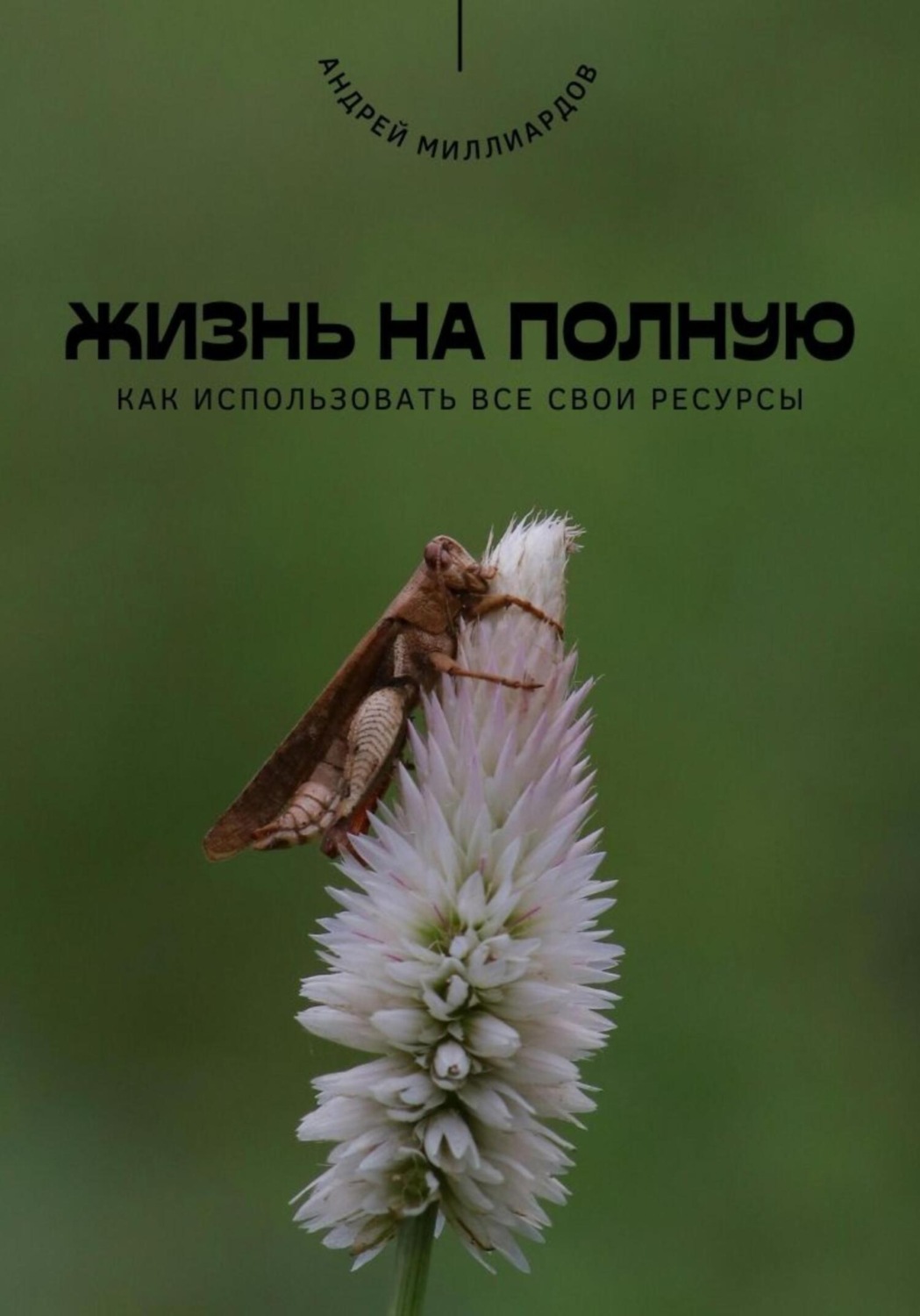 Обложка книги «Жизнь на полную. Как использовать все свои ресурсы»