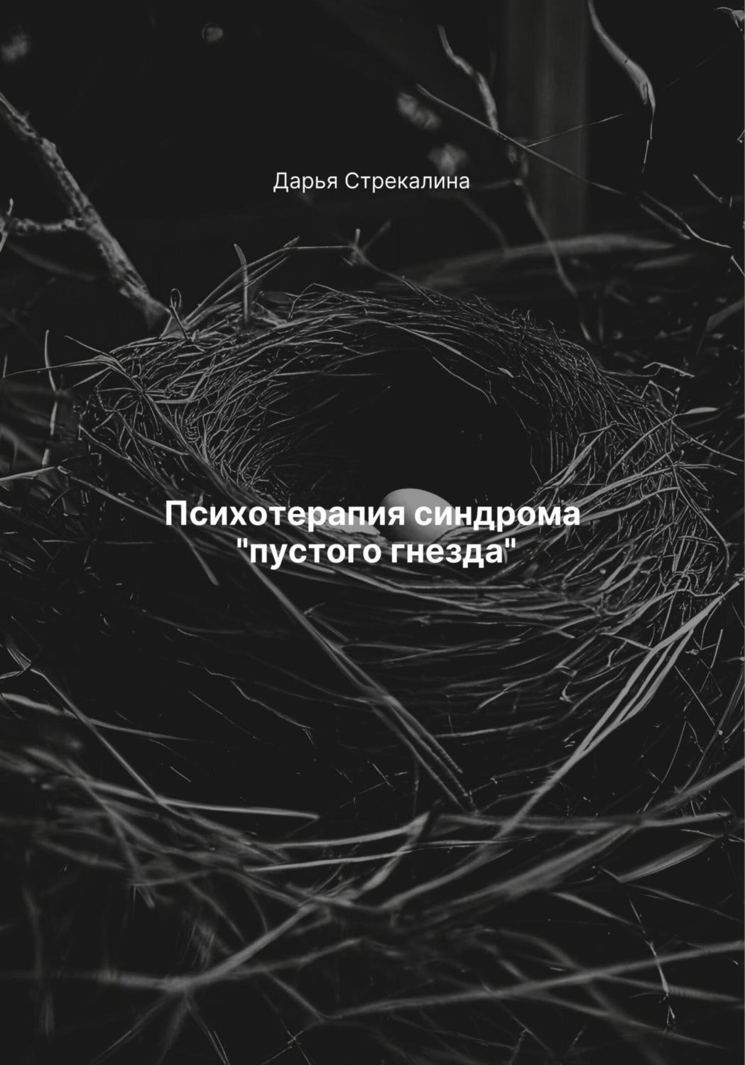 Обложка книги «Психотерапия синдрома «пустого гнезда»»