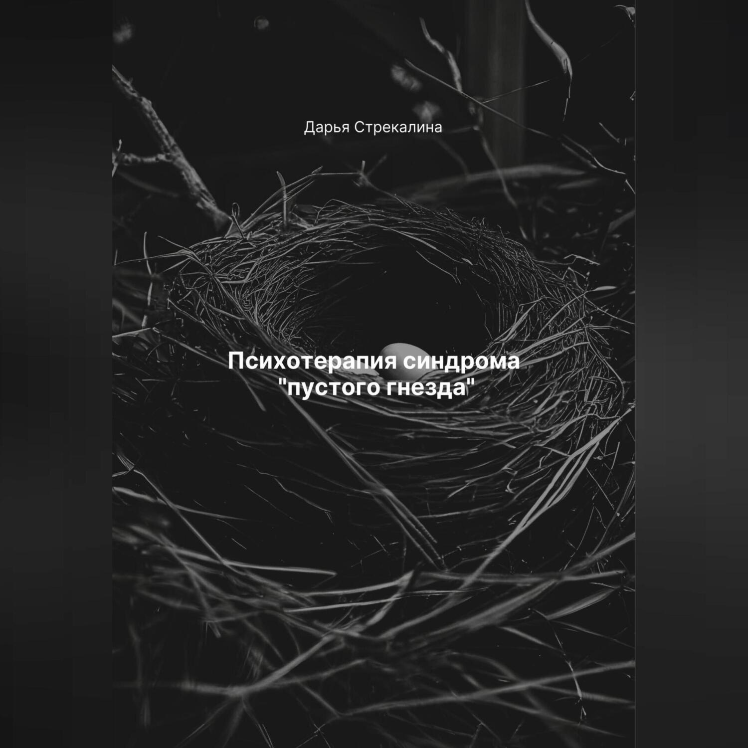 Обложка книги «Психотерапия синдрома «пустого гнезда»»