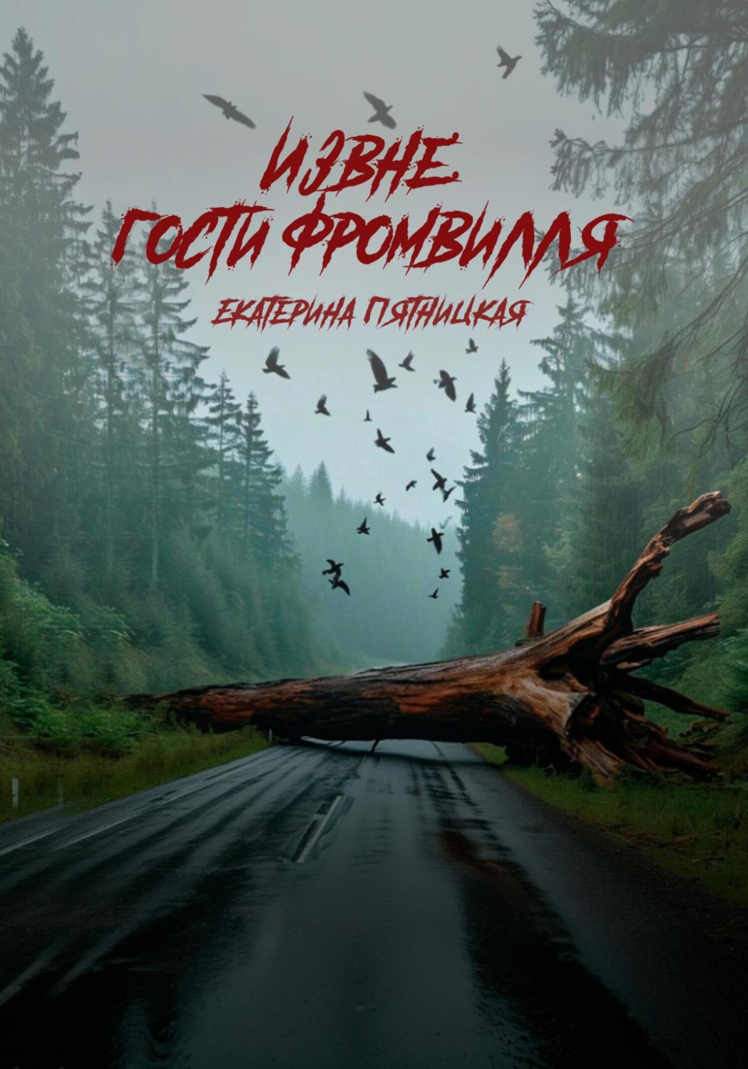 Обложка книги «Извне: Гости Фромвилля»