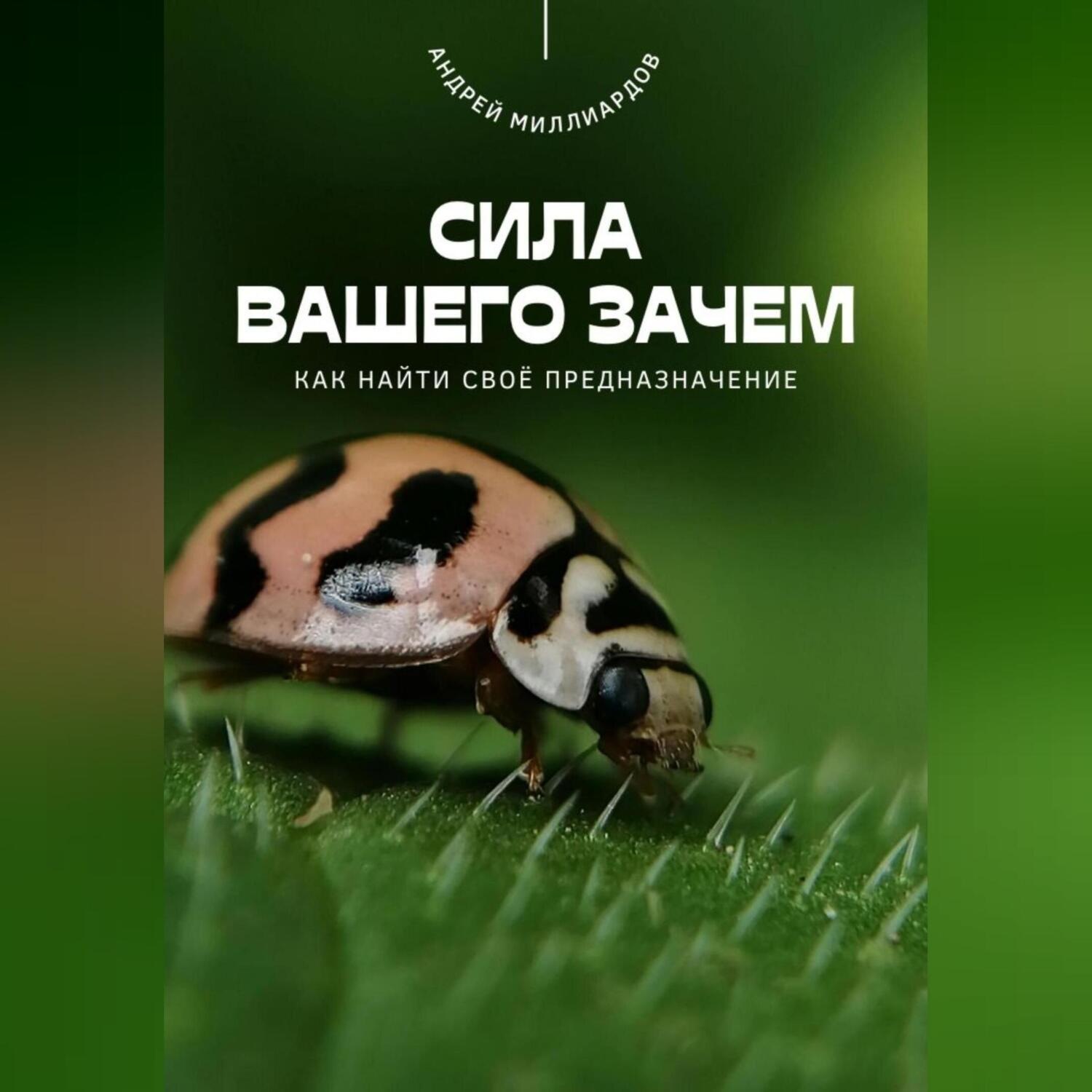 Обложка книги «Сила вашего Зачем. Как найти своё предназначение»