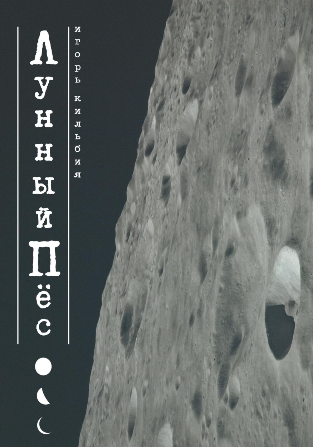 Обложка книги «Лунный пёс»