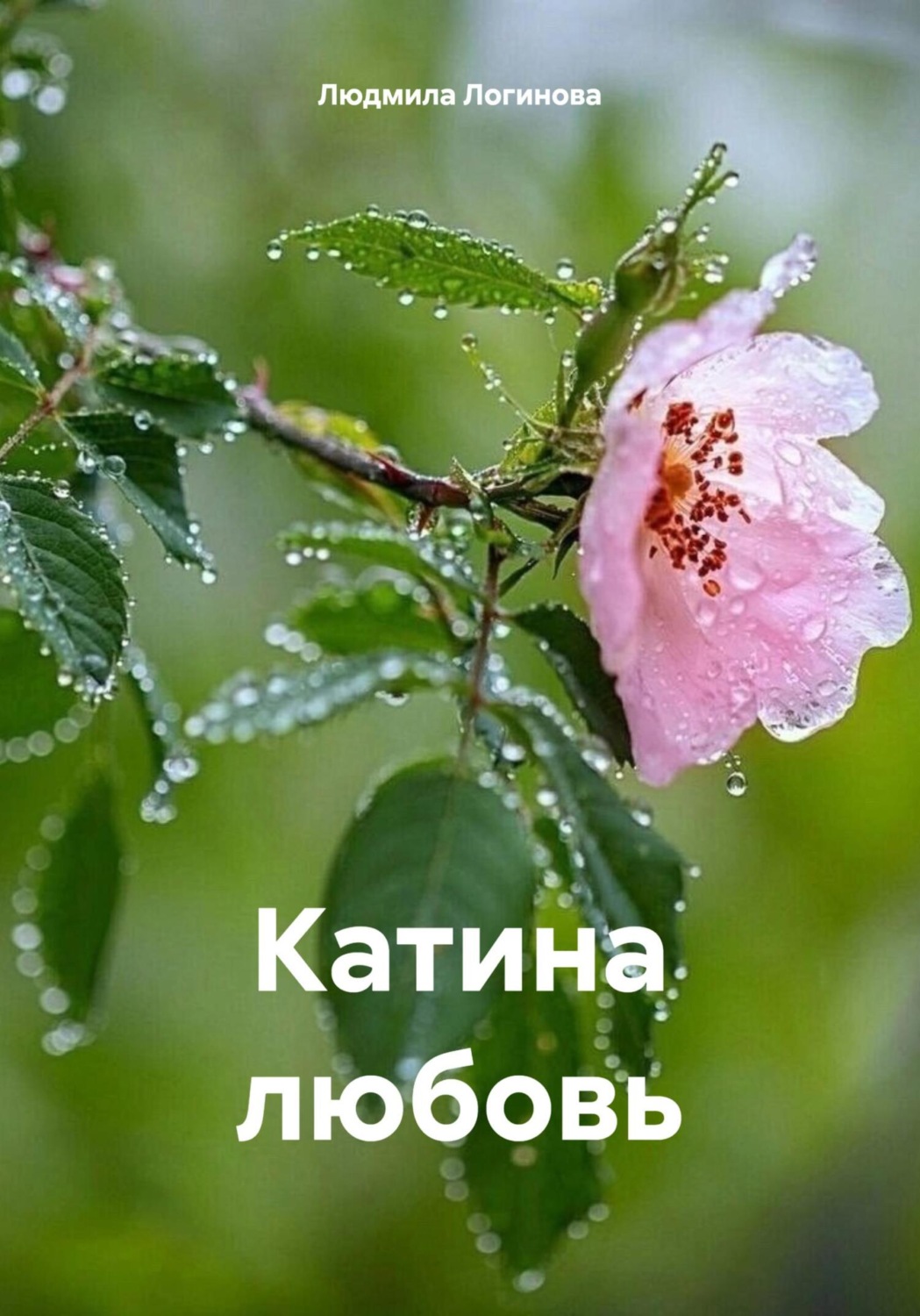Обложка книги «Катина любовь»