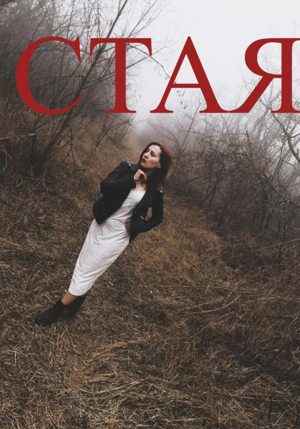 Обложка книги «СТАЯ»
