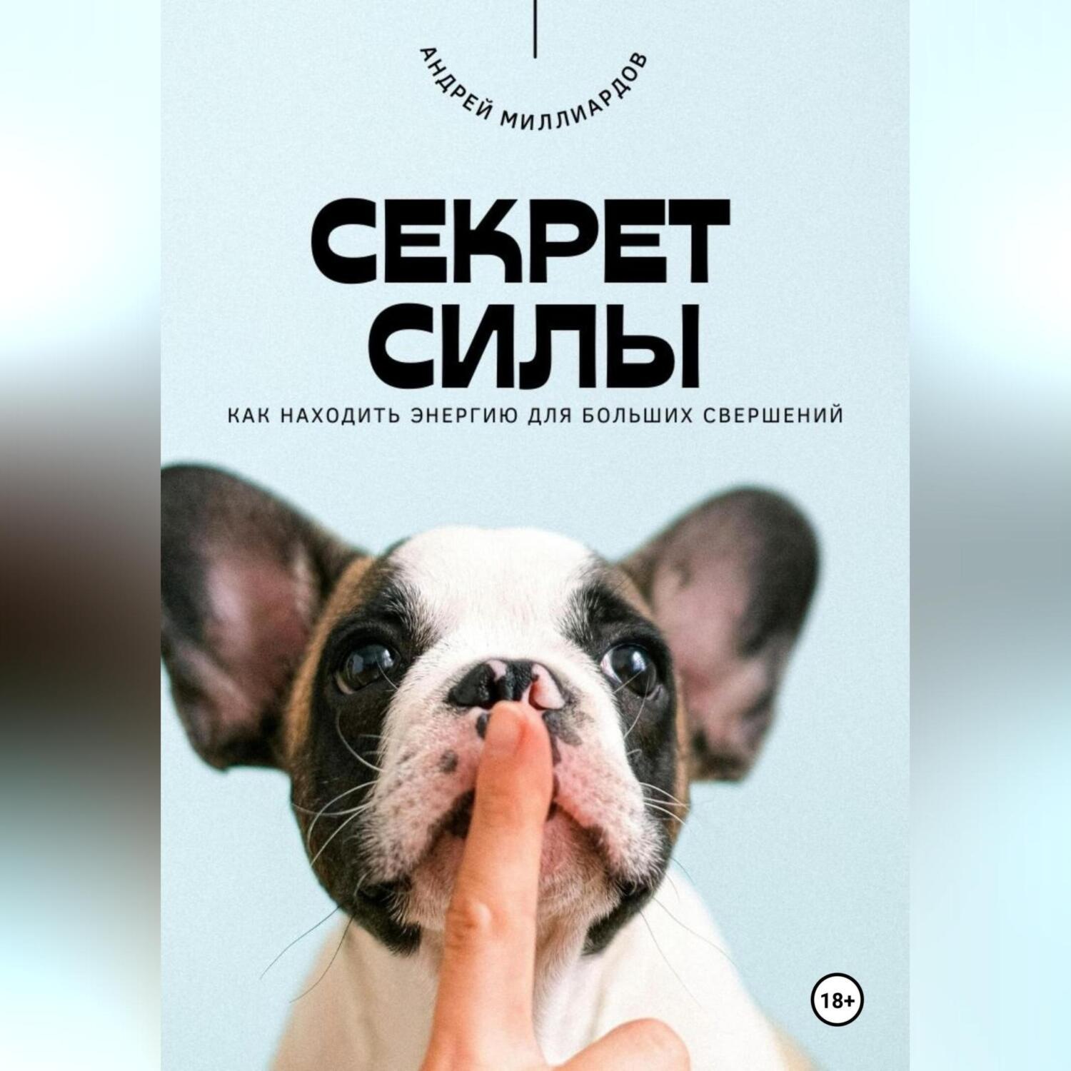 Обложка книги «Секрет силы. Как находить энергию для больших свершений»