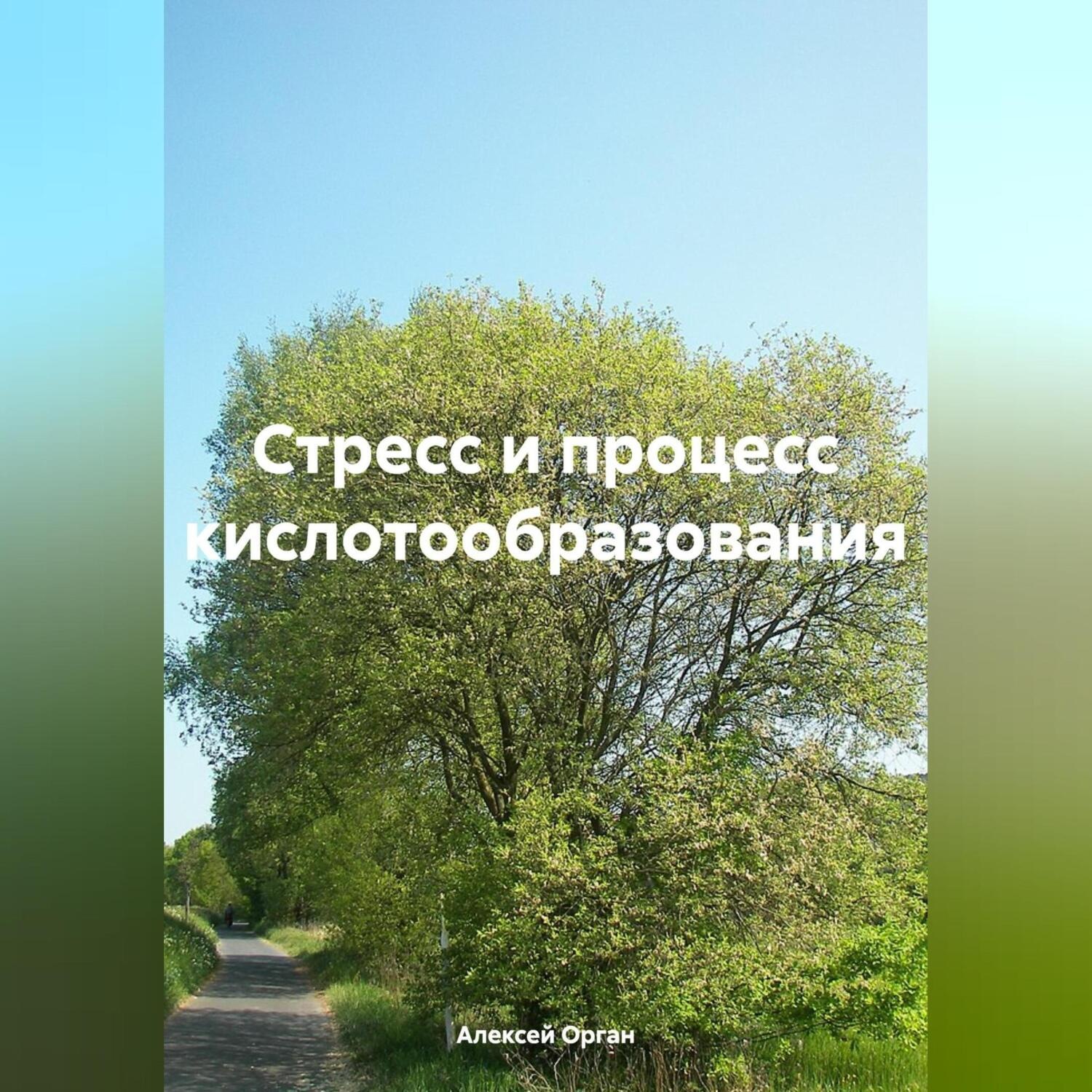Обложка книги «Стресс и процесс кислотообразования»