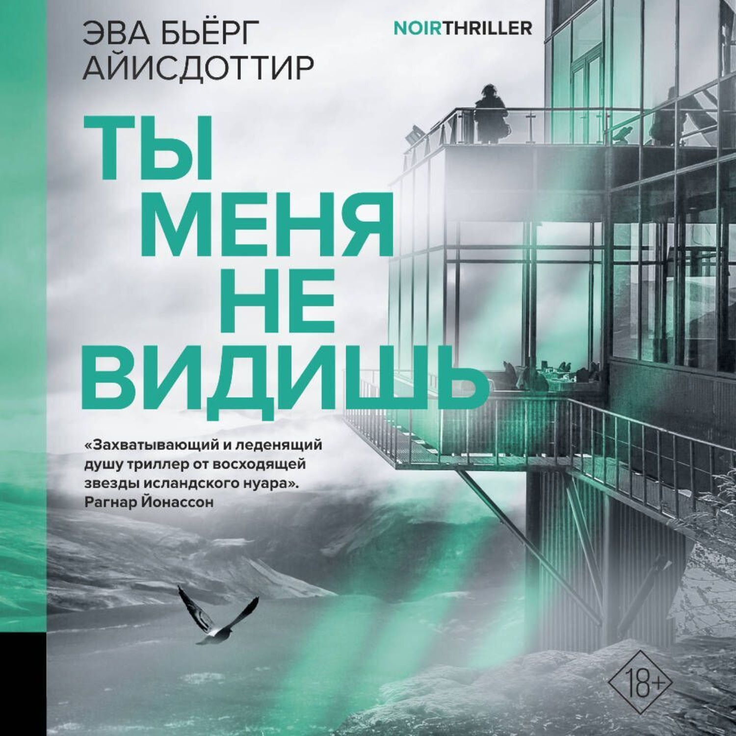 Обложка книги «Ты меня не видишь»