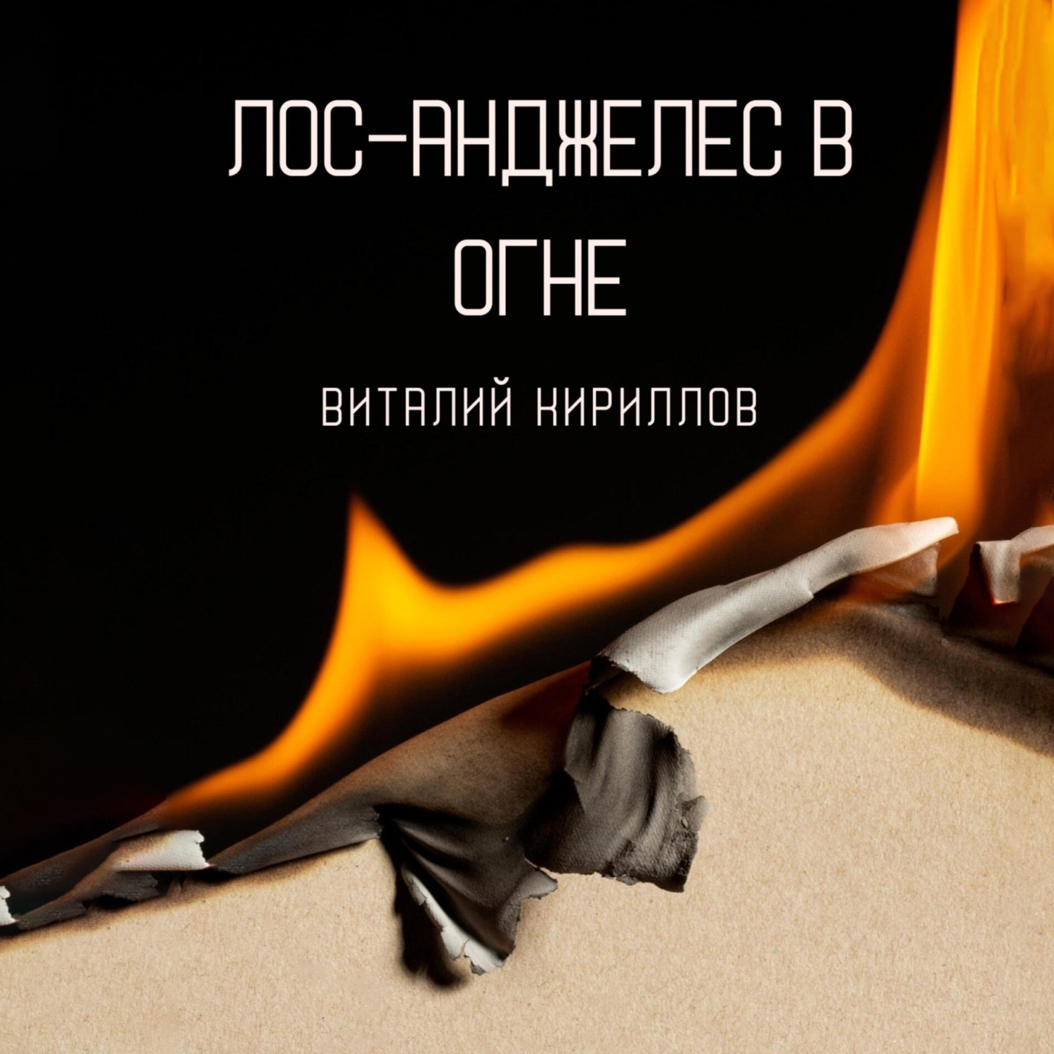 Обложка книги «Лос-Анджелес в огне»