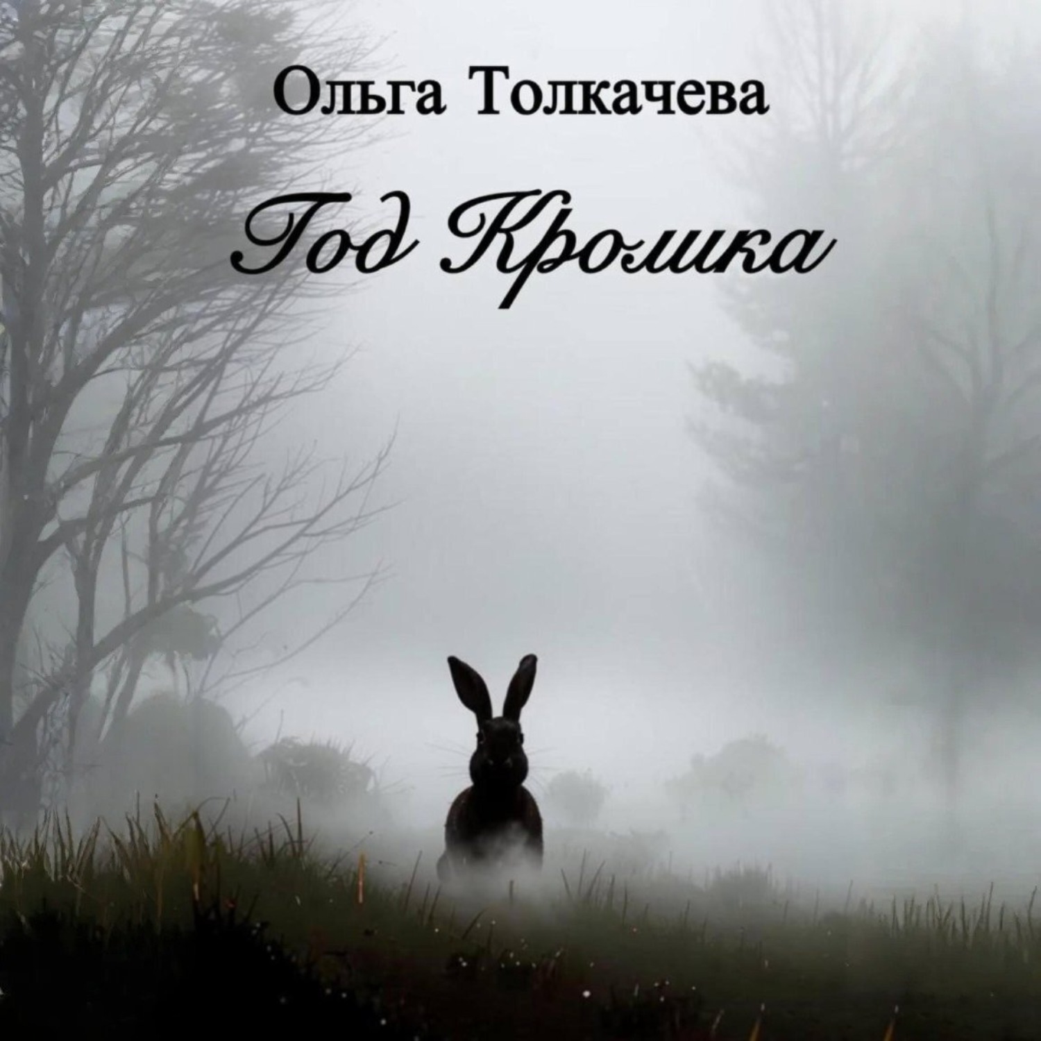 Обложка книги «Год Кролика»