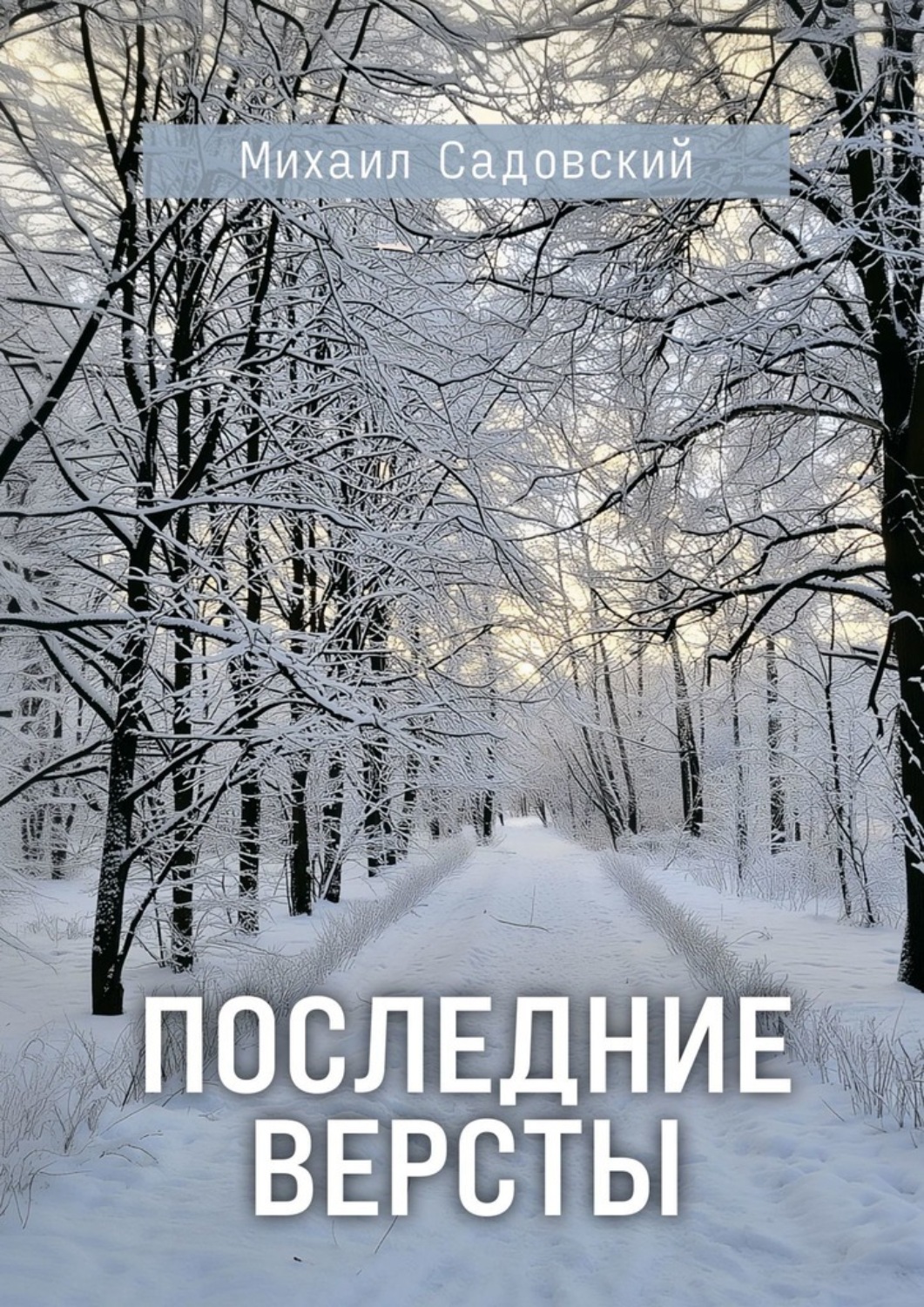 Обложка книги «Последние версты»