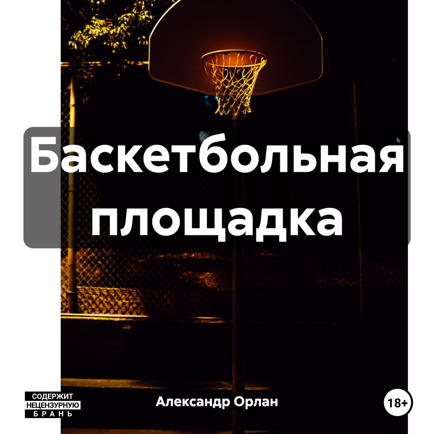 Обложка книги «Баскетбольная площадка»