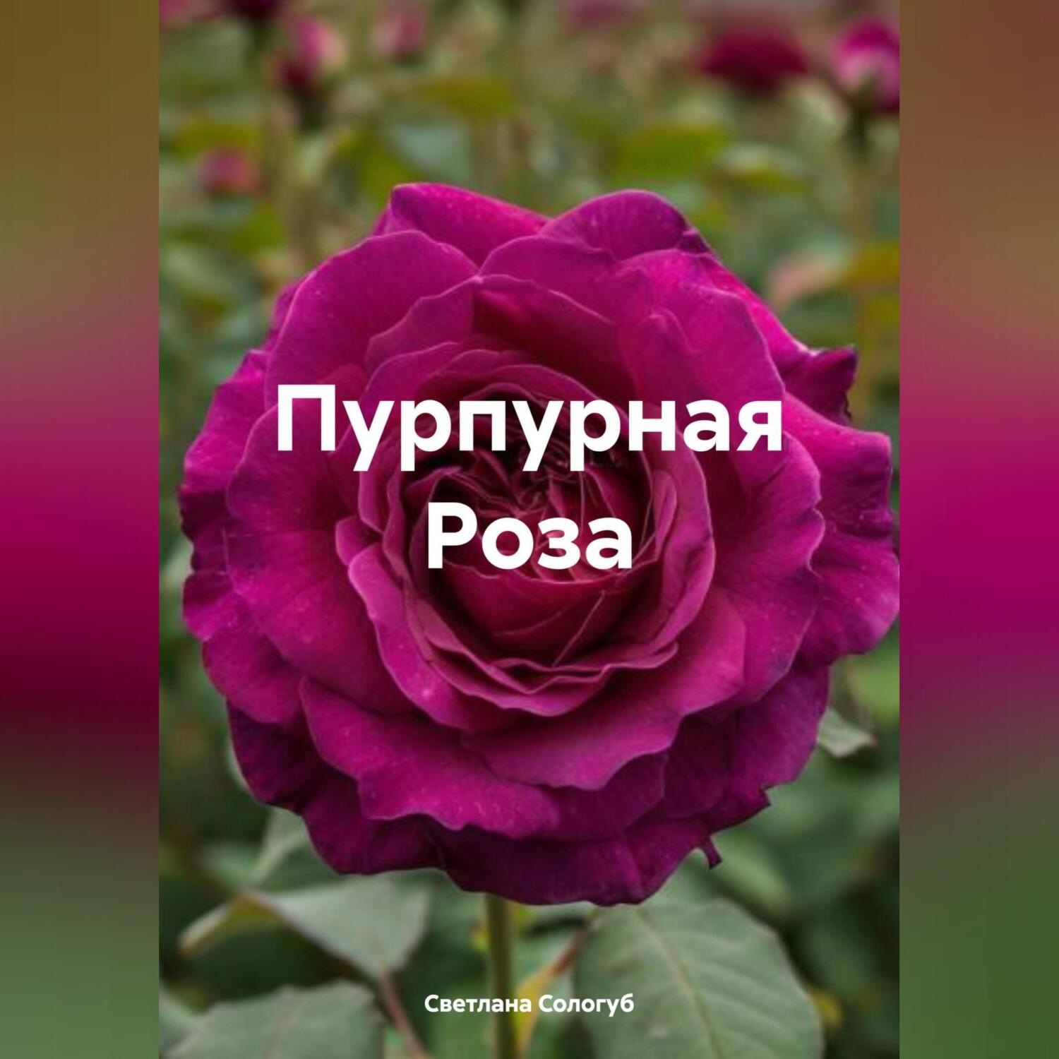 Обложка книги «Пурпурная Роза»