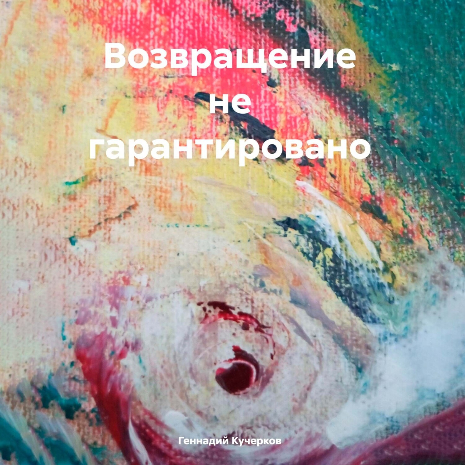 Обложка книги «Возвращение не гарантировано»