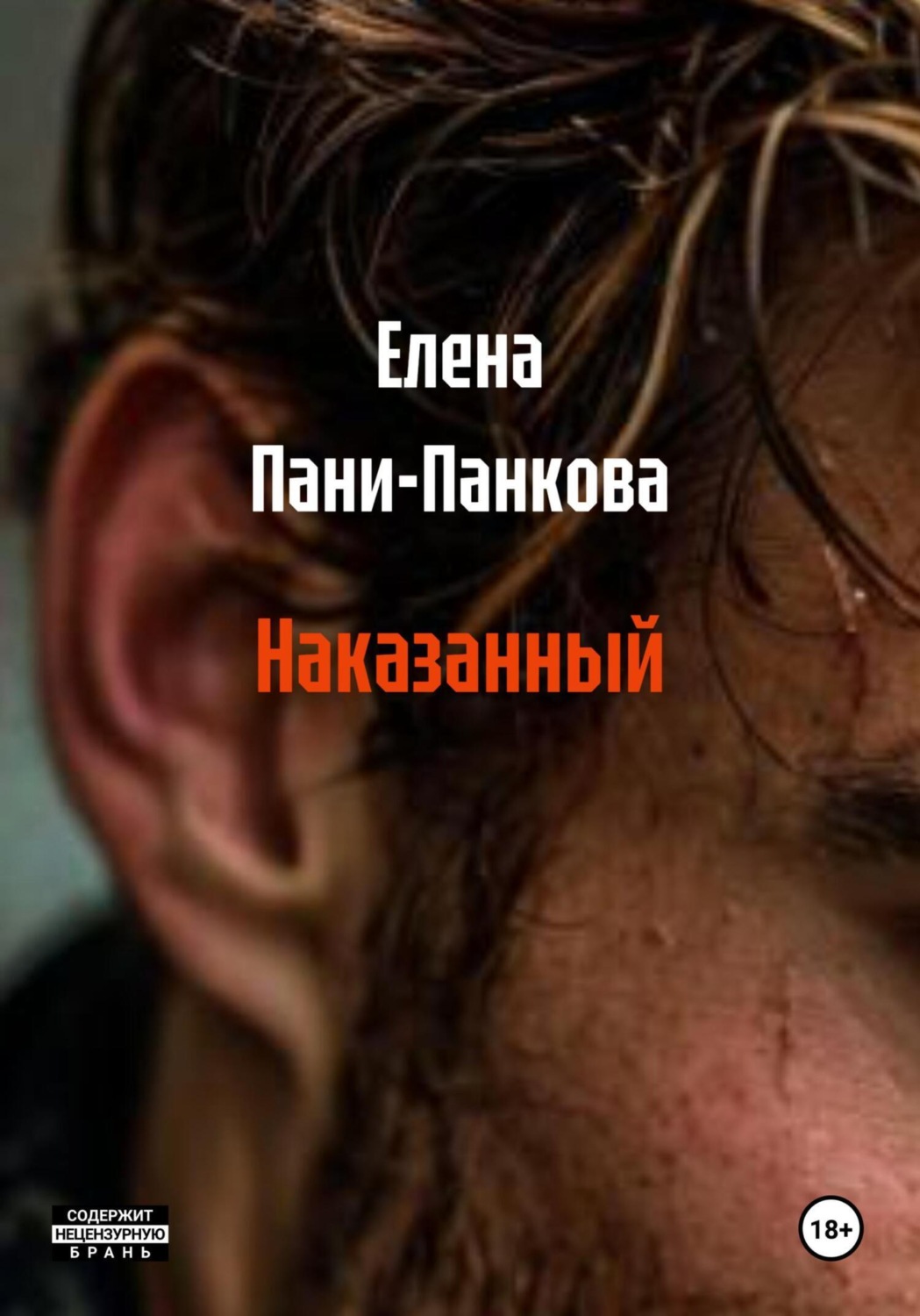 Обложка книги «Наказанный»
