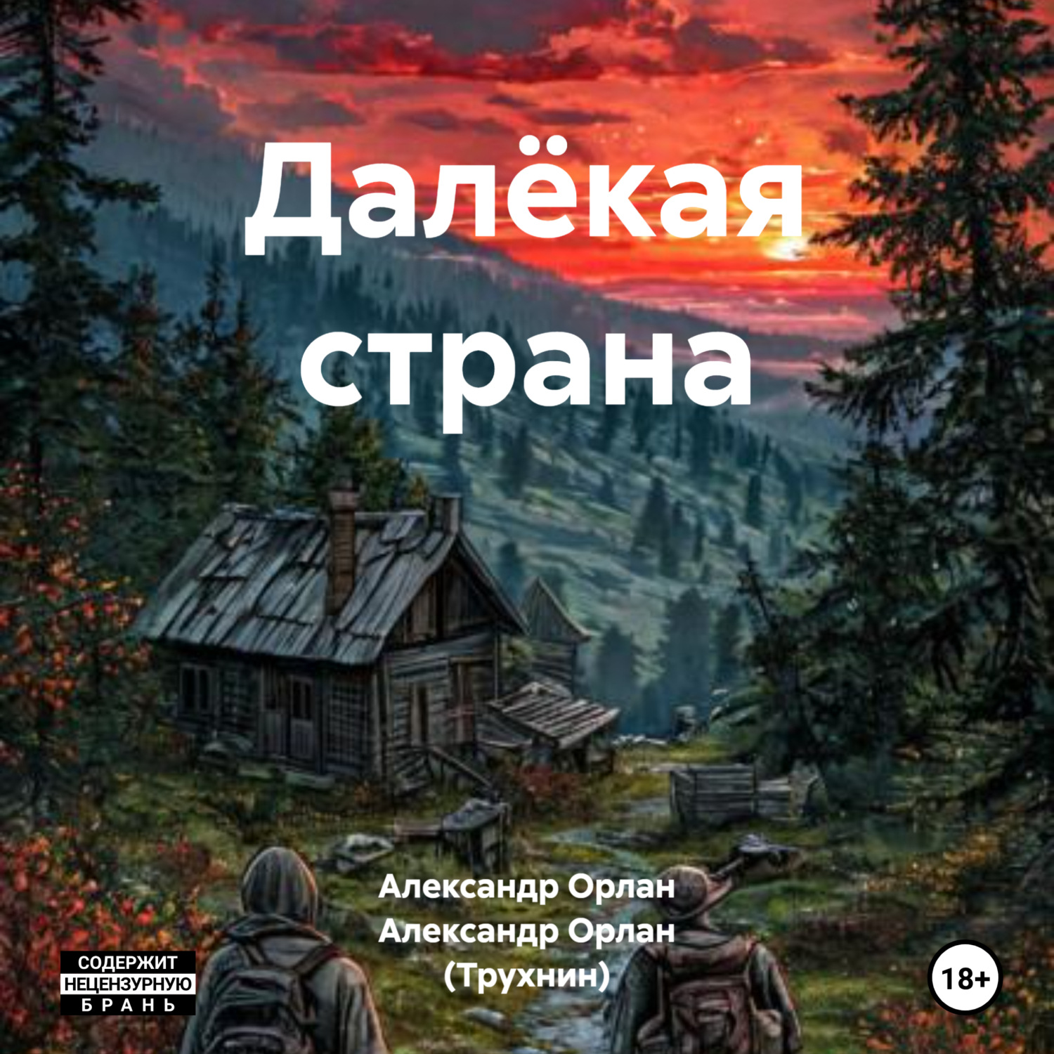 Обложка книги «Далёкая страна»