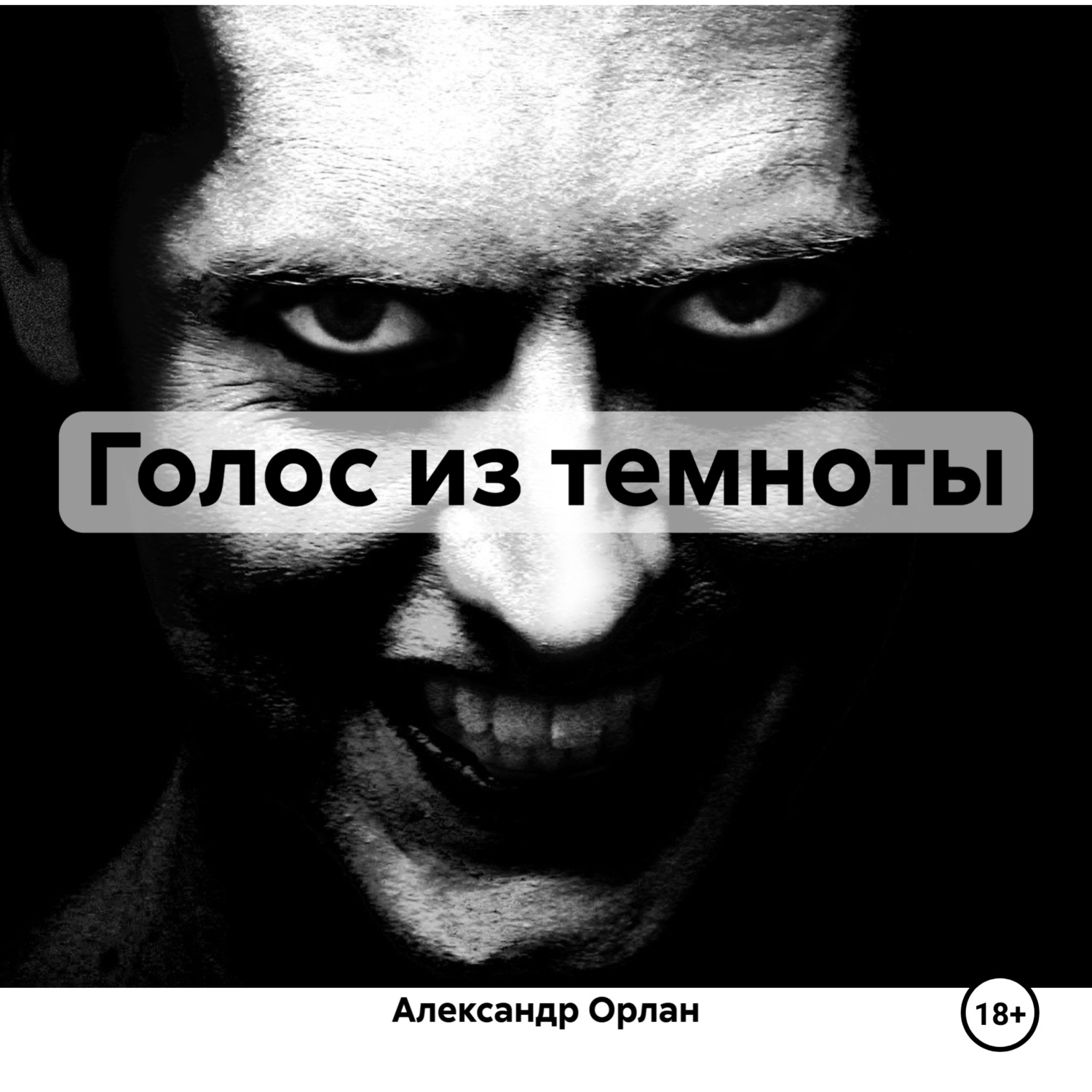 Обложка книги «Голос из темноты»