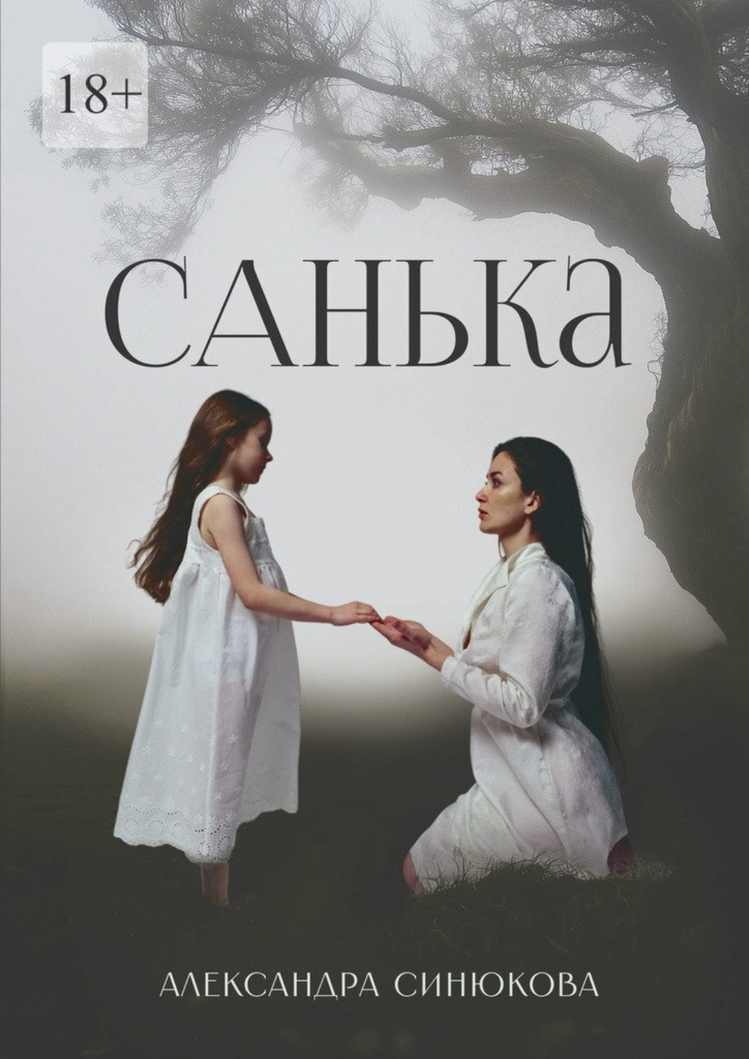Обложка книги «Санька»