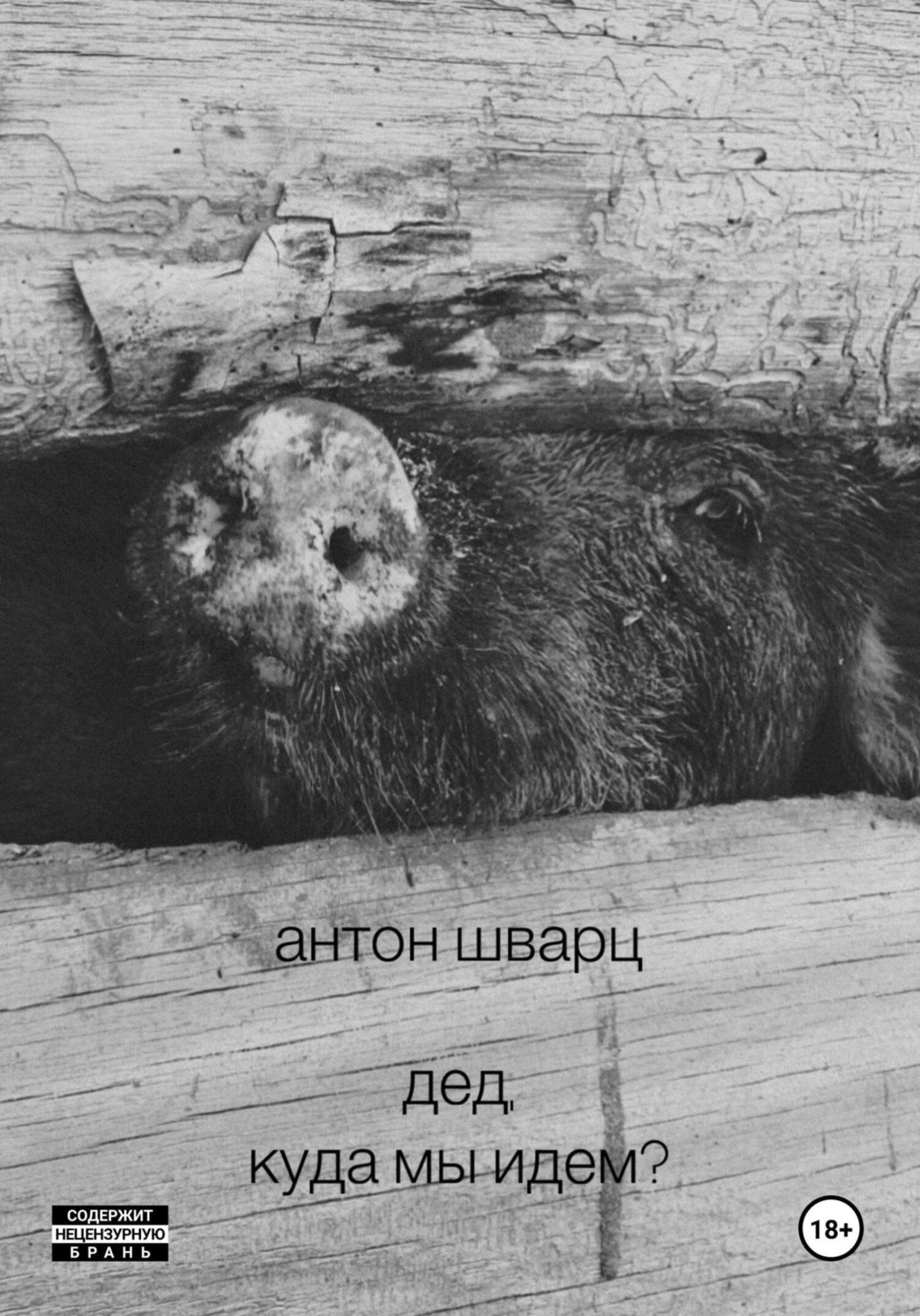 Обложка книги «Дед, куда мы идем?»