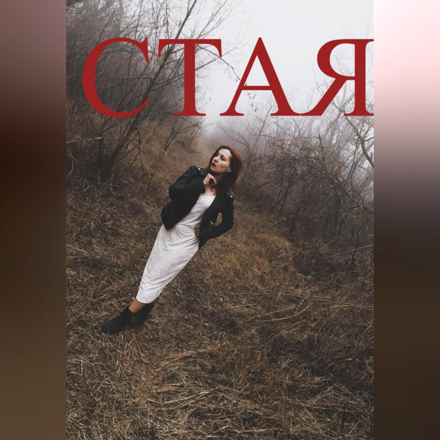 Обложка книги «СТАЯ»