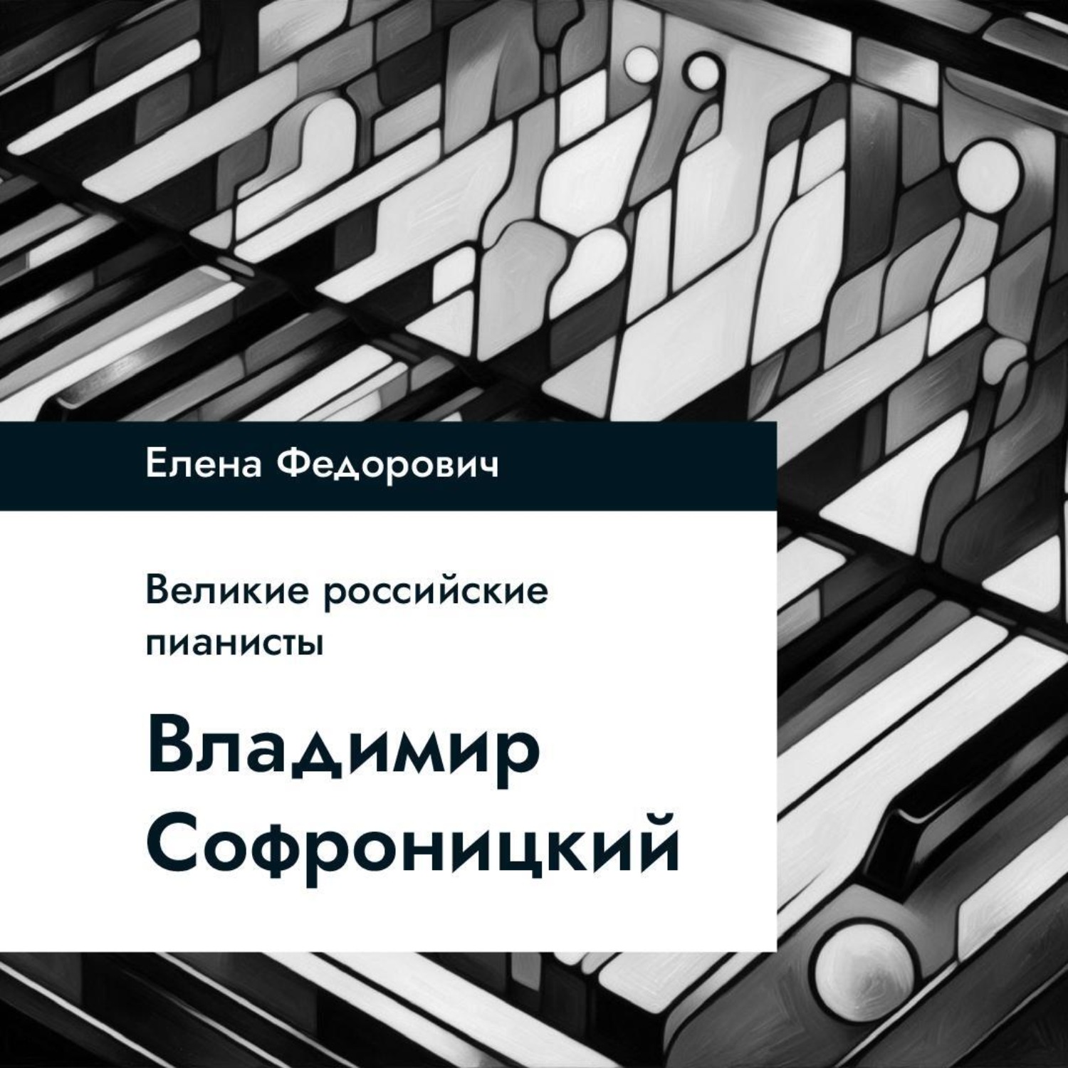 Обложка книги «Владимир Софроницкий»