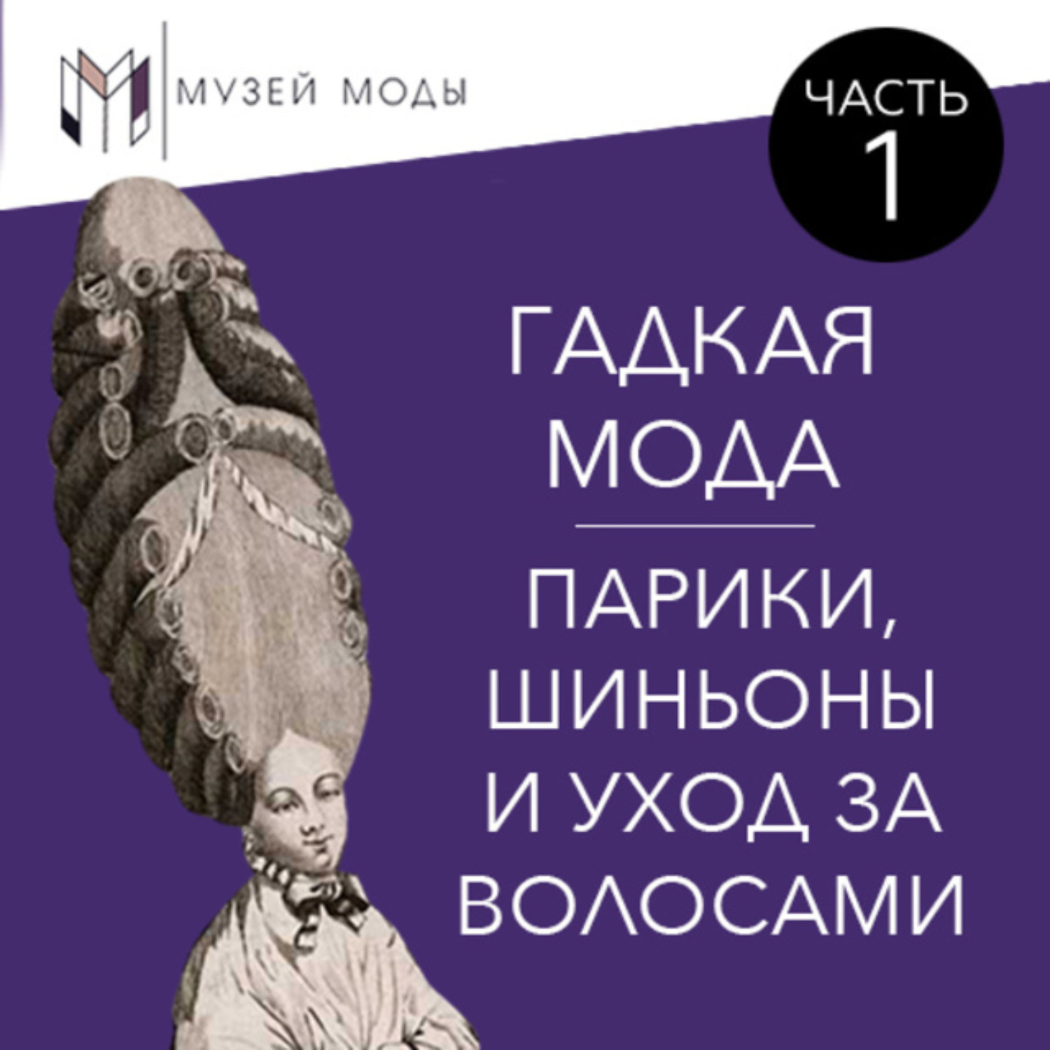 Обложка книги «Гадкая мода: Парики, шиньоны и уход за волосами, часть 1»