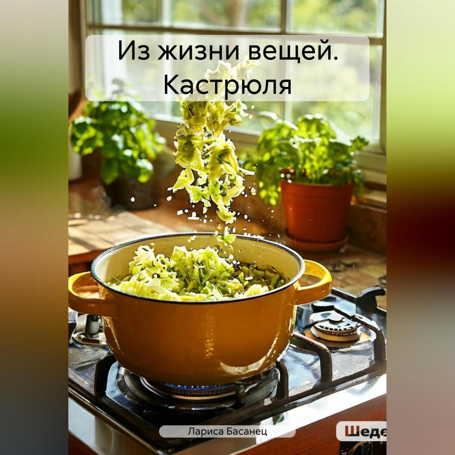 Обложка книги «Из жизни вещей. Кастрюля»