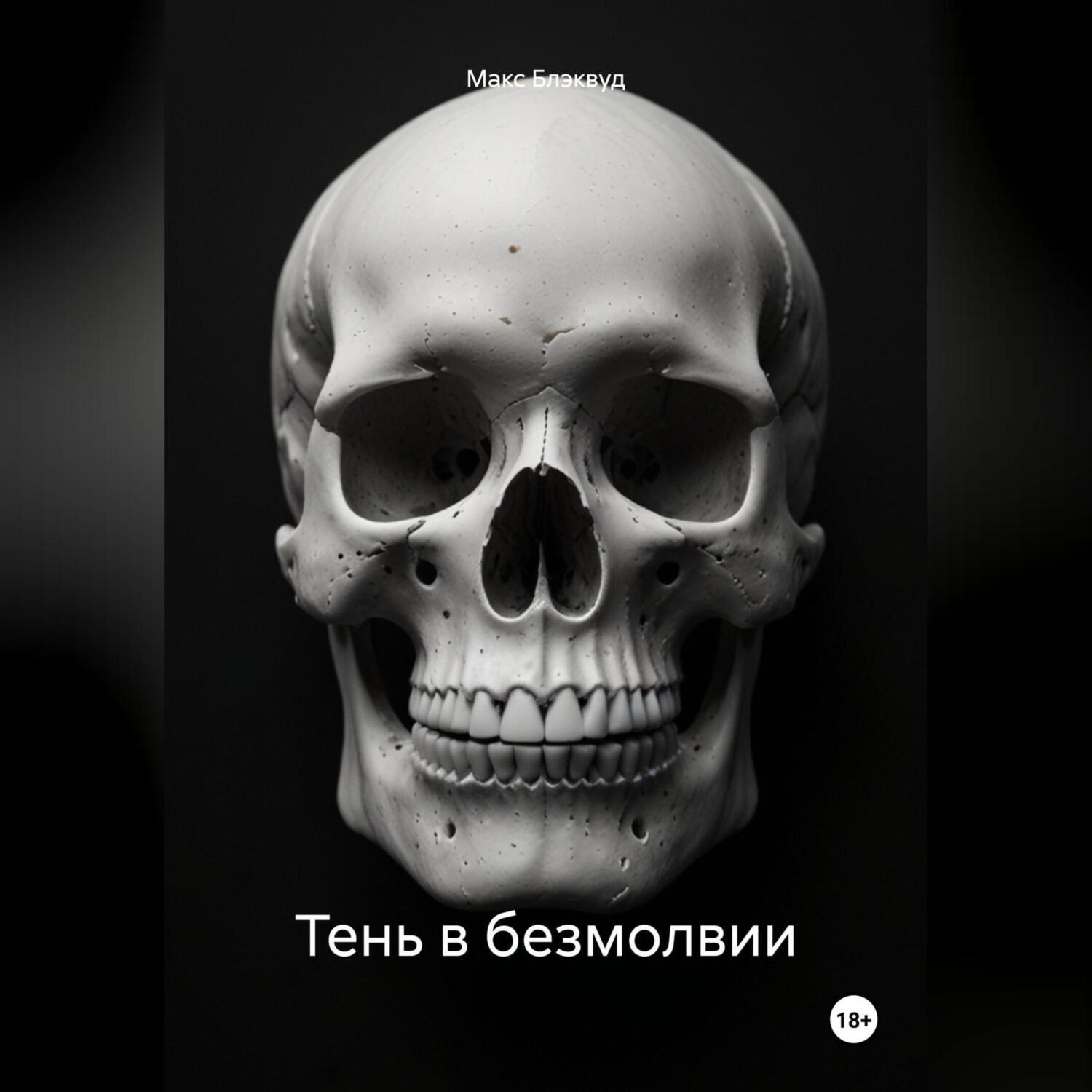 Обложка книги «Тень в безмолвии»