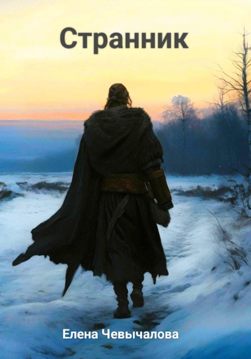 Обложка книги «Странник»