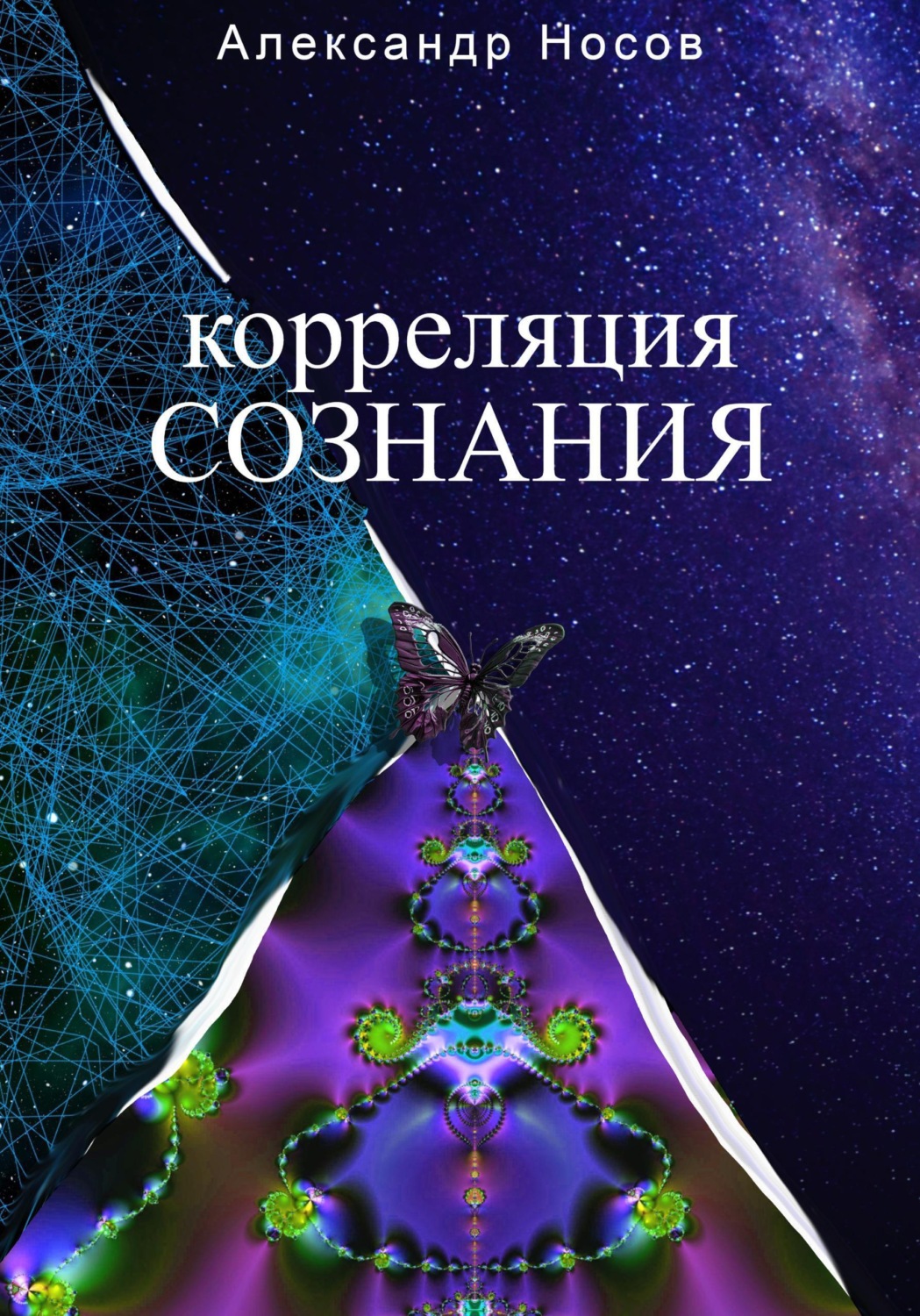 Обложка книги «Корреляция сознания»