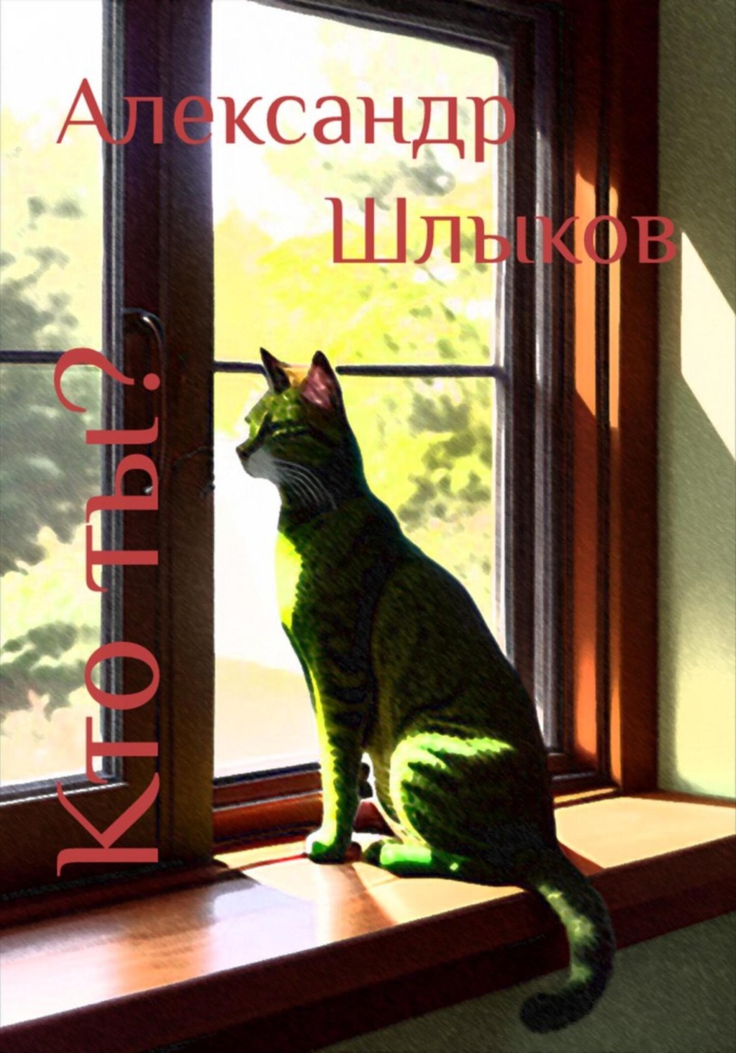 Обложка книги «Кто ты?»