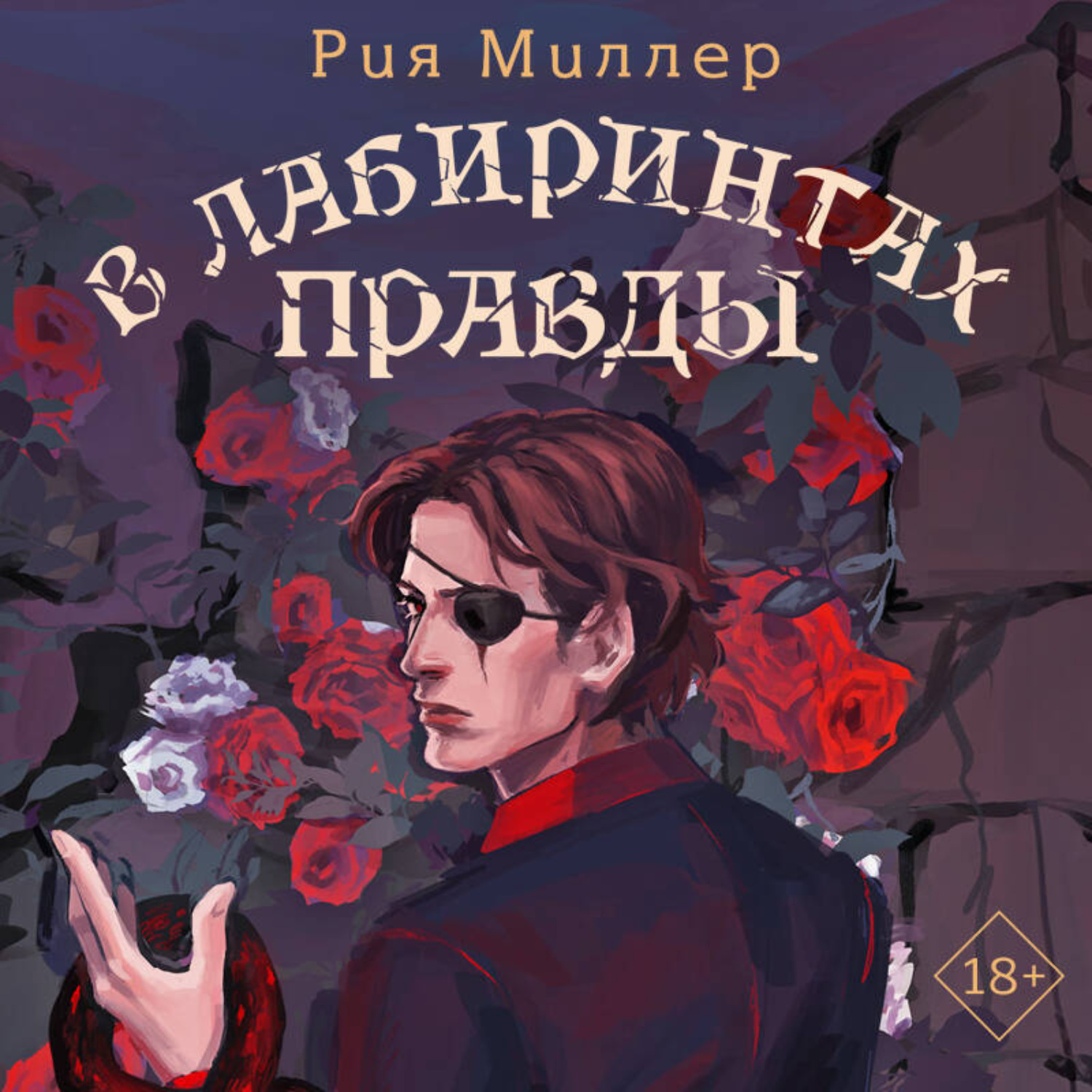 Обложка книги «В лабиринтах правды»