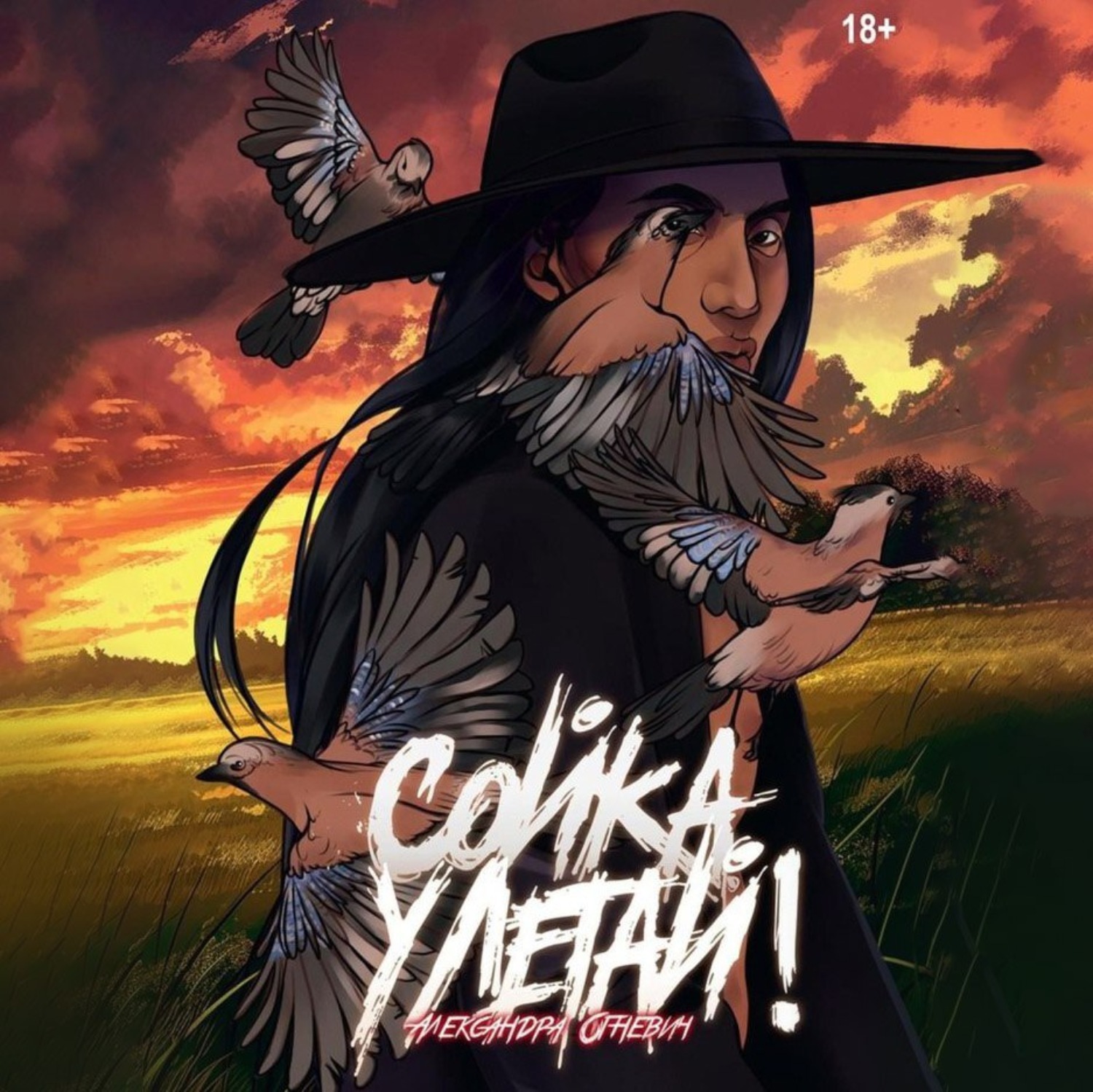 Обложка книги «Сойка, улетай!»