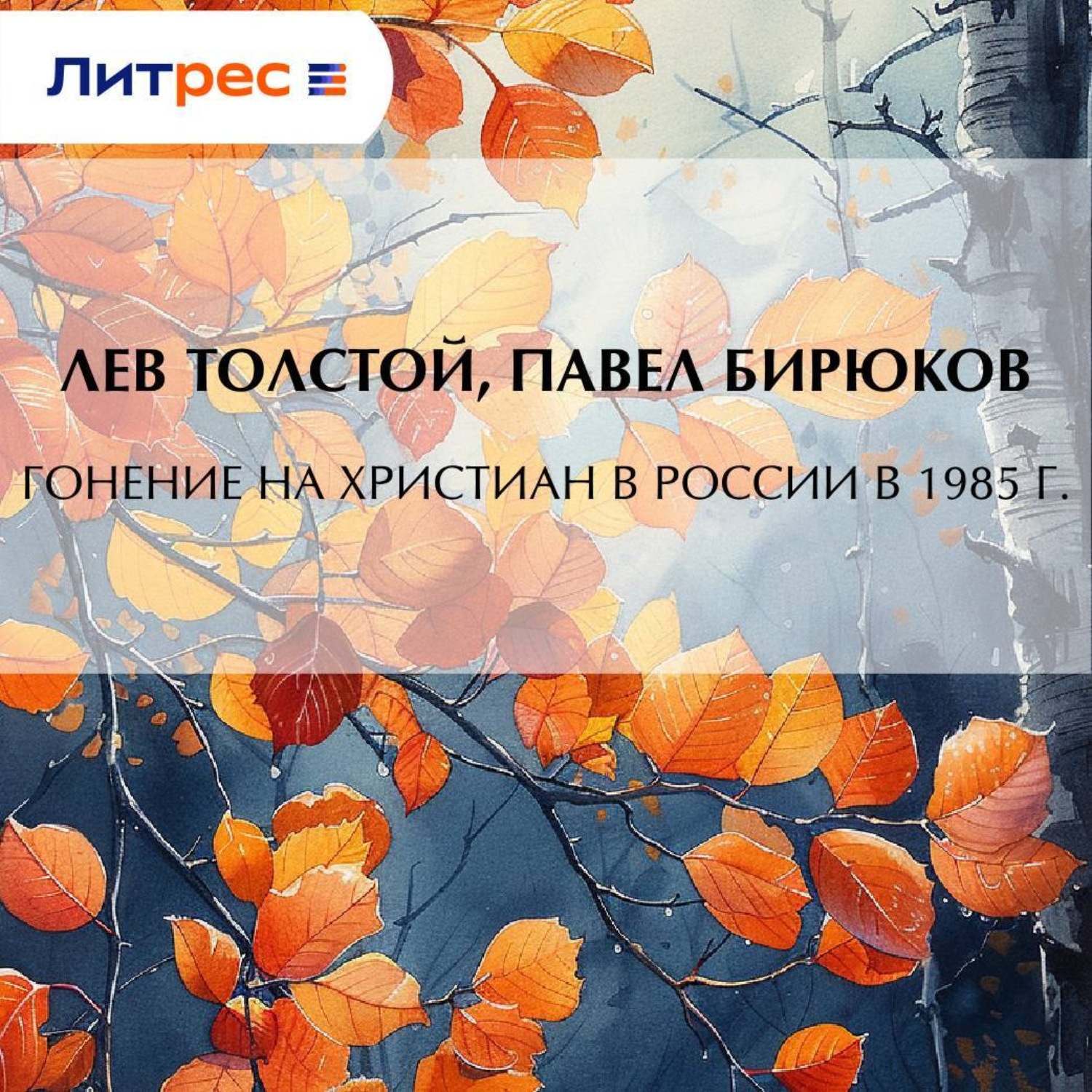 Обложка книги «Гонение на христиан в России в 1895 г.»