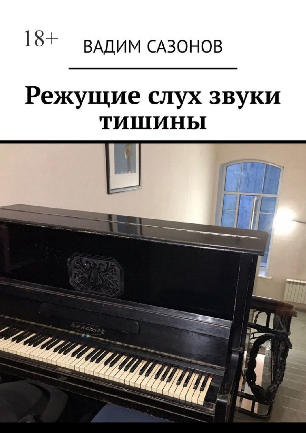 Обложка книги «Режущие слух звуки тишины»