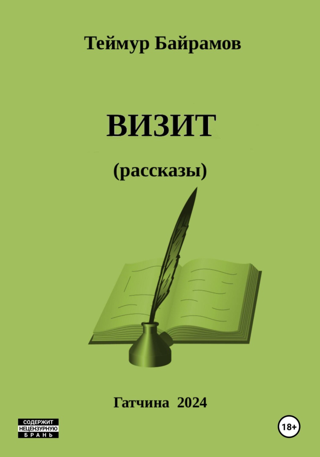 Обложка книги «Визит»