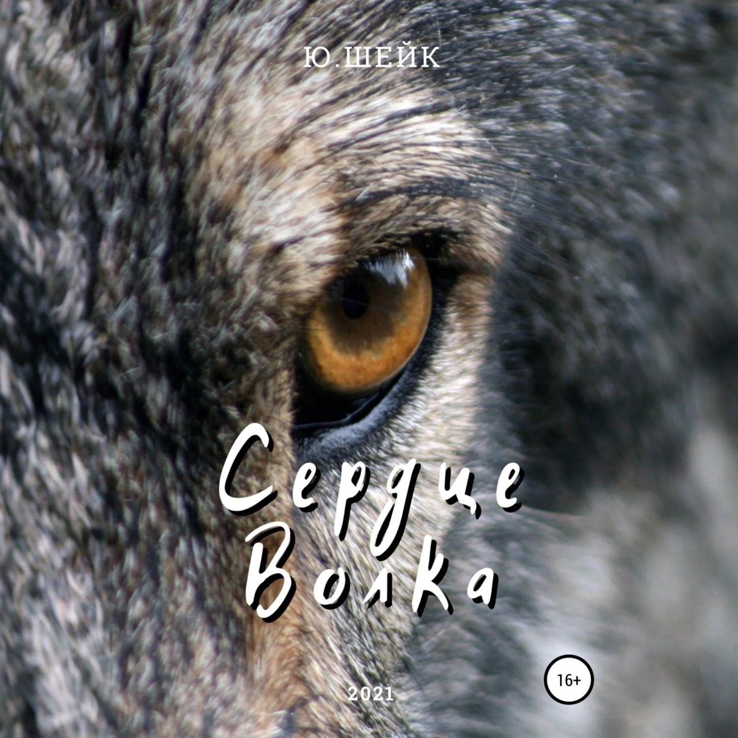 Обложка книги «Сердце Волка»