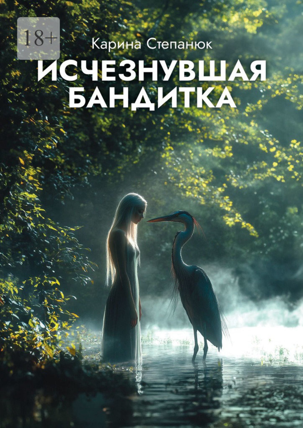 Обложка книги «Исчезнувшая бандитка»