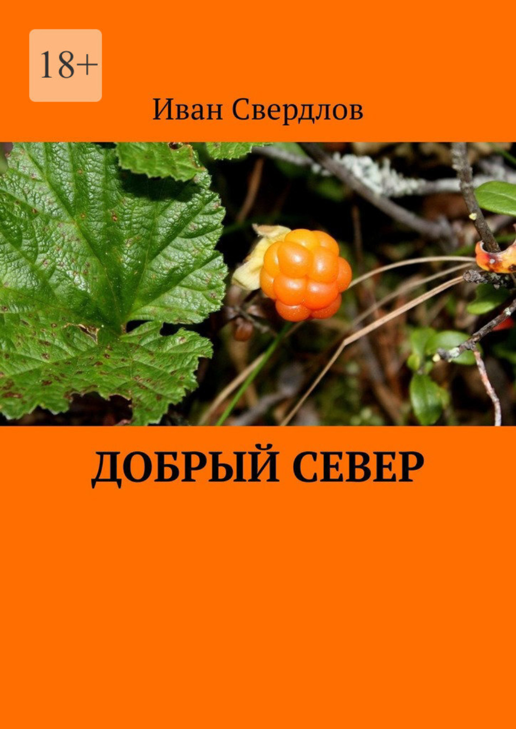 Обложка книги «Добрый Север»