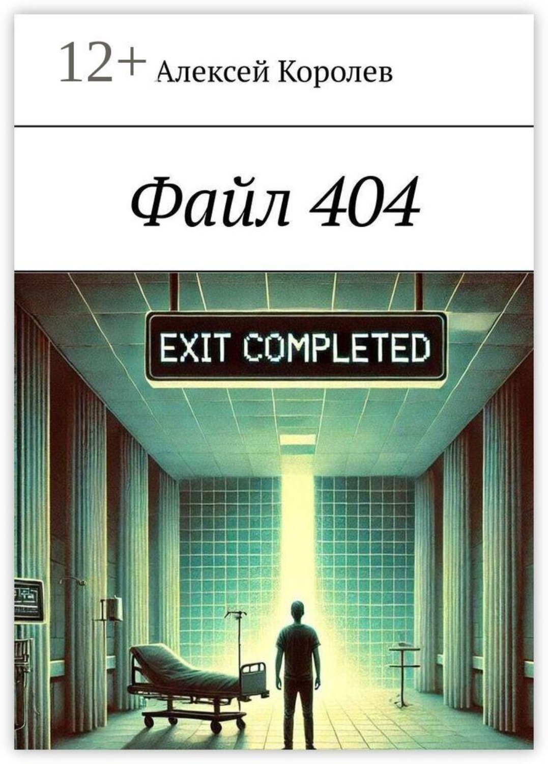 Обложка книги «Файл 404»