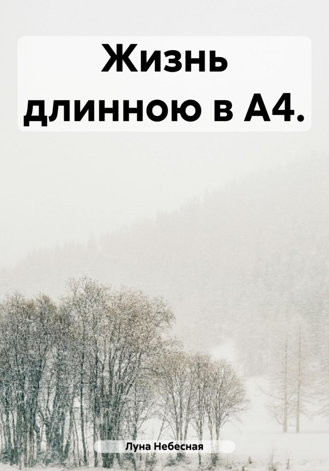 Обложка книги «Жизнь длинною в А4»