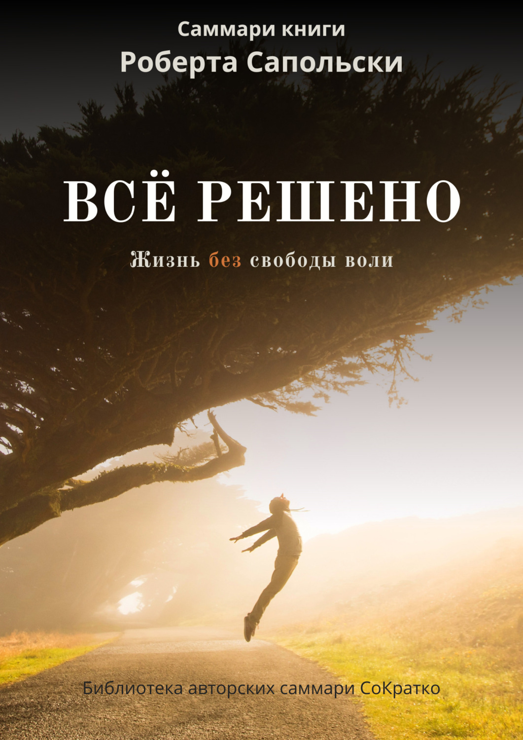 Обложка книги «Саммари книги Роберта Сапольски «Все решено. Жизнь без свободы воли»»